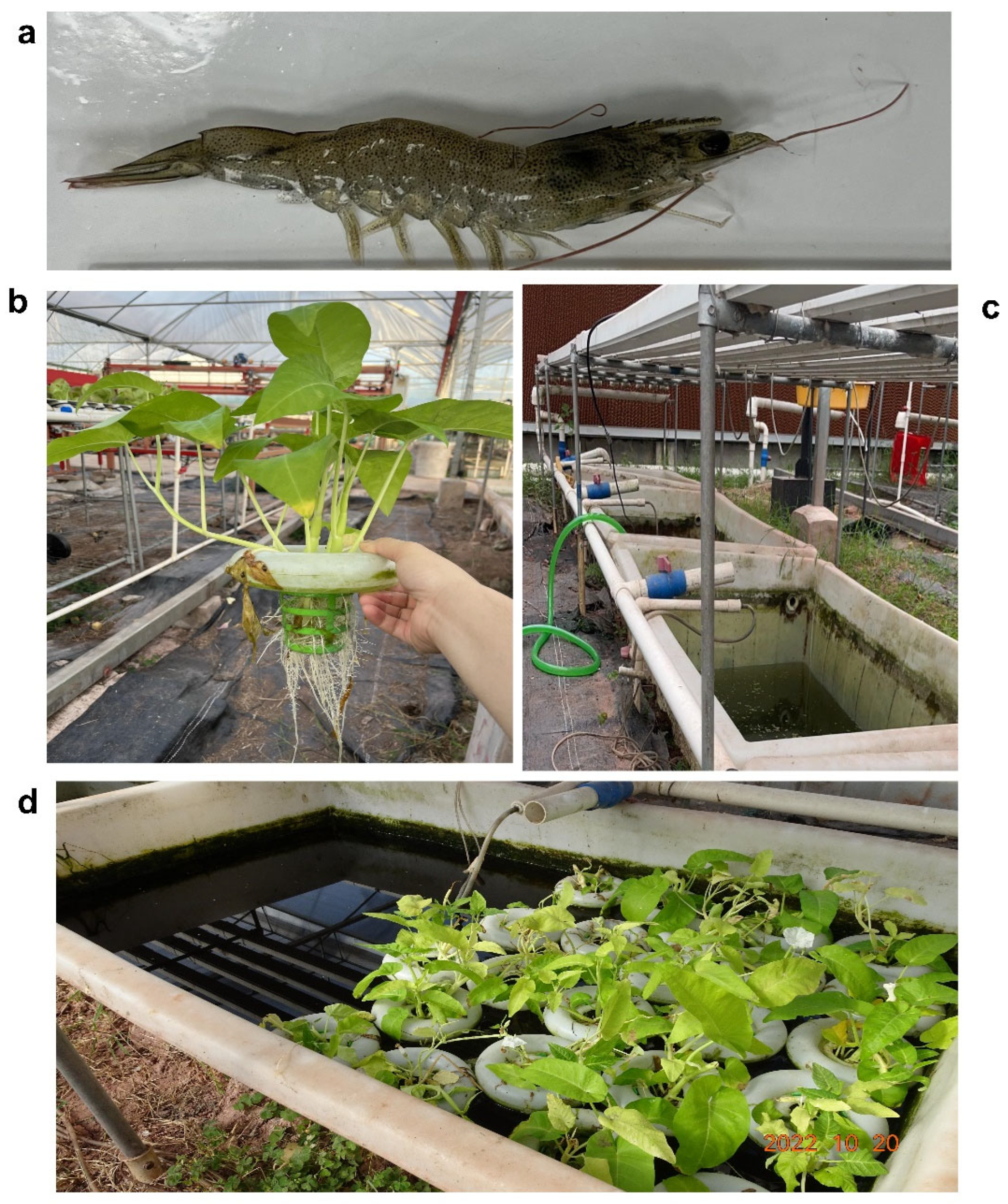 Fishes 09 00175 g001