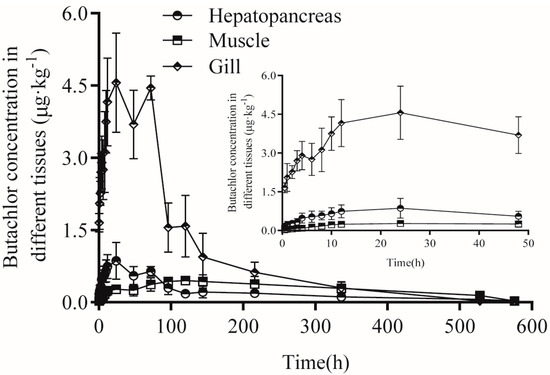 Toxicity, Oxidative Stress, and Tissue Distribution of