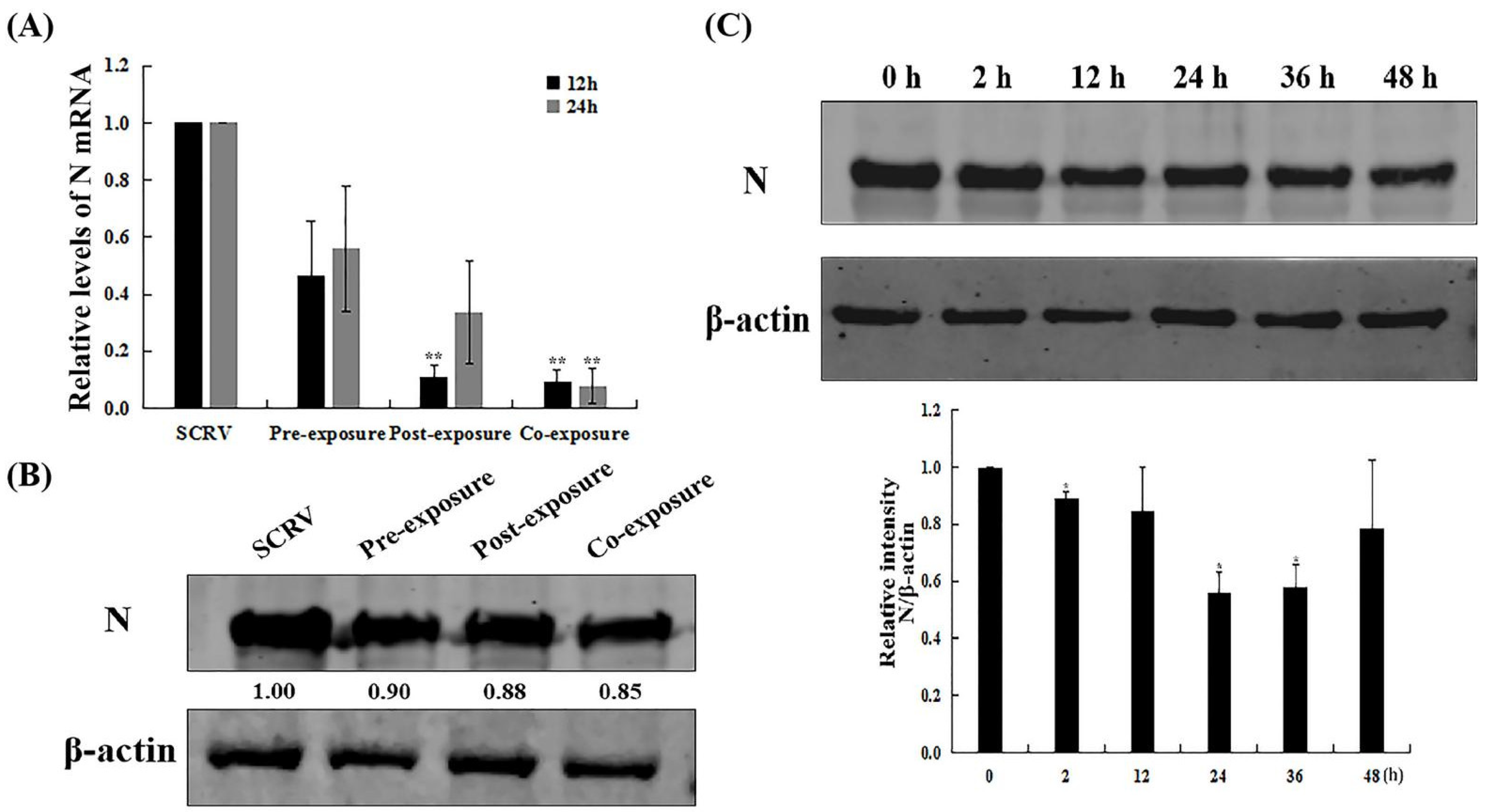Fishes 09 00179 g003