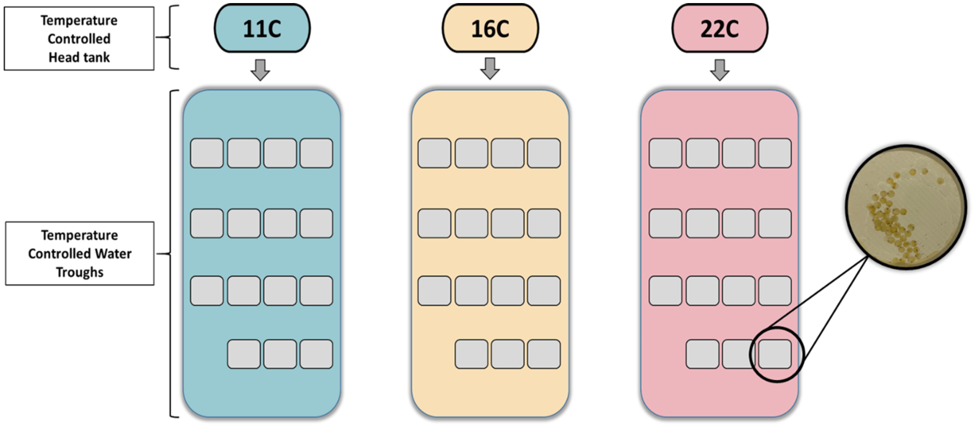 Fishes 09 00181 g001