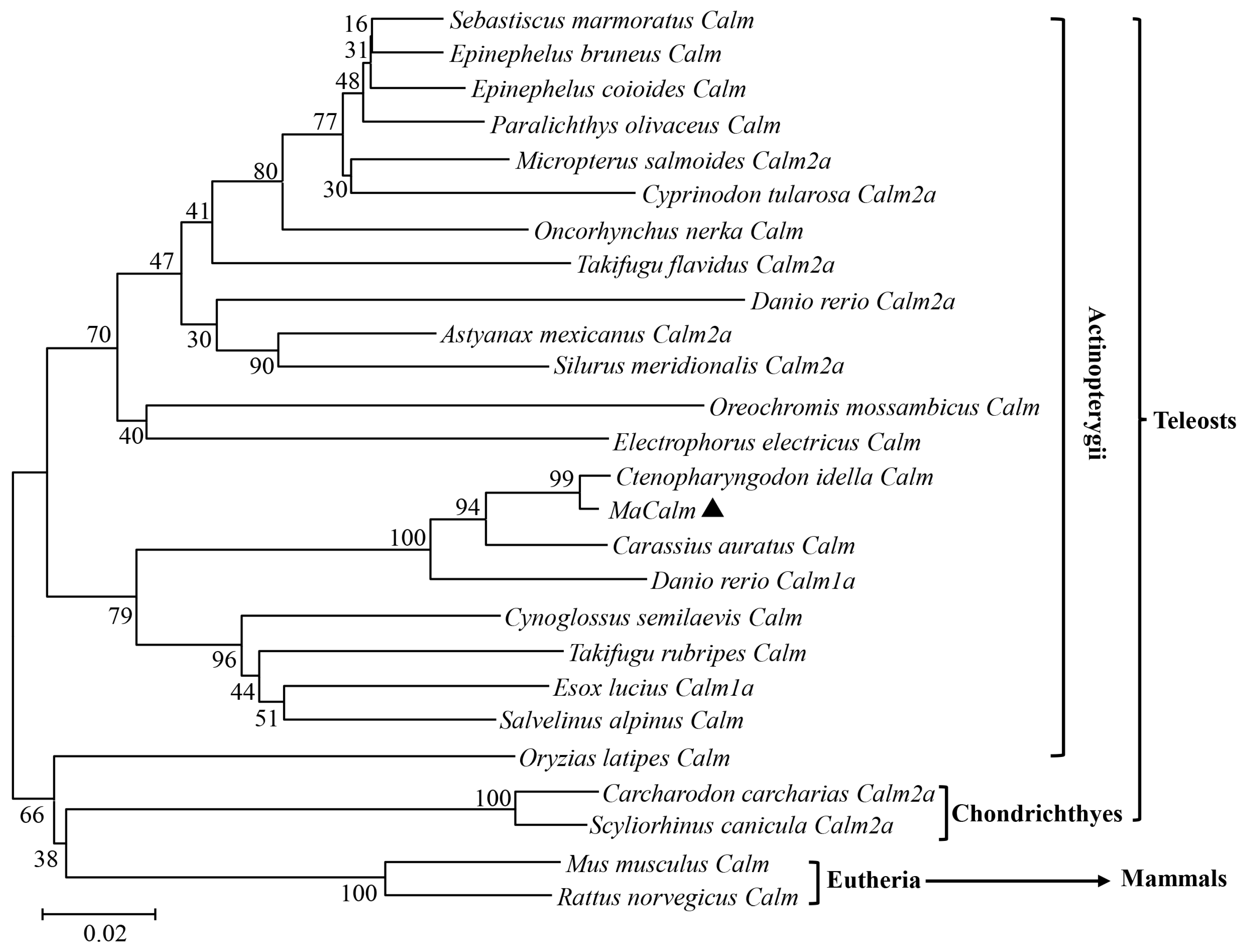 Fishes 09 00182 g003 Fishes 09 00182 g003