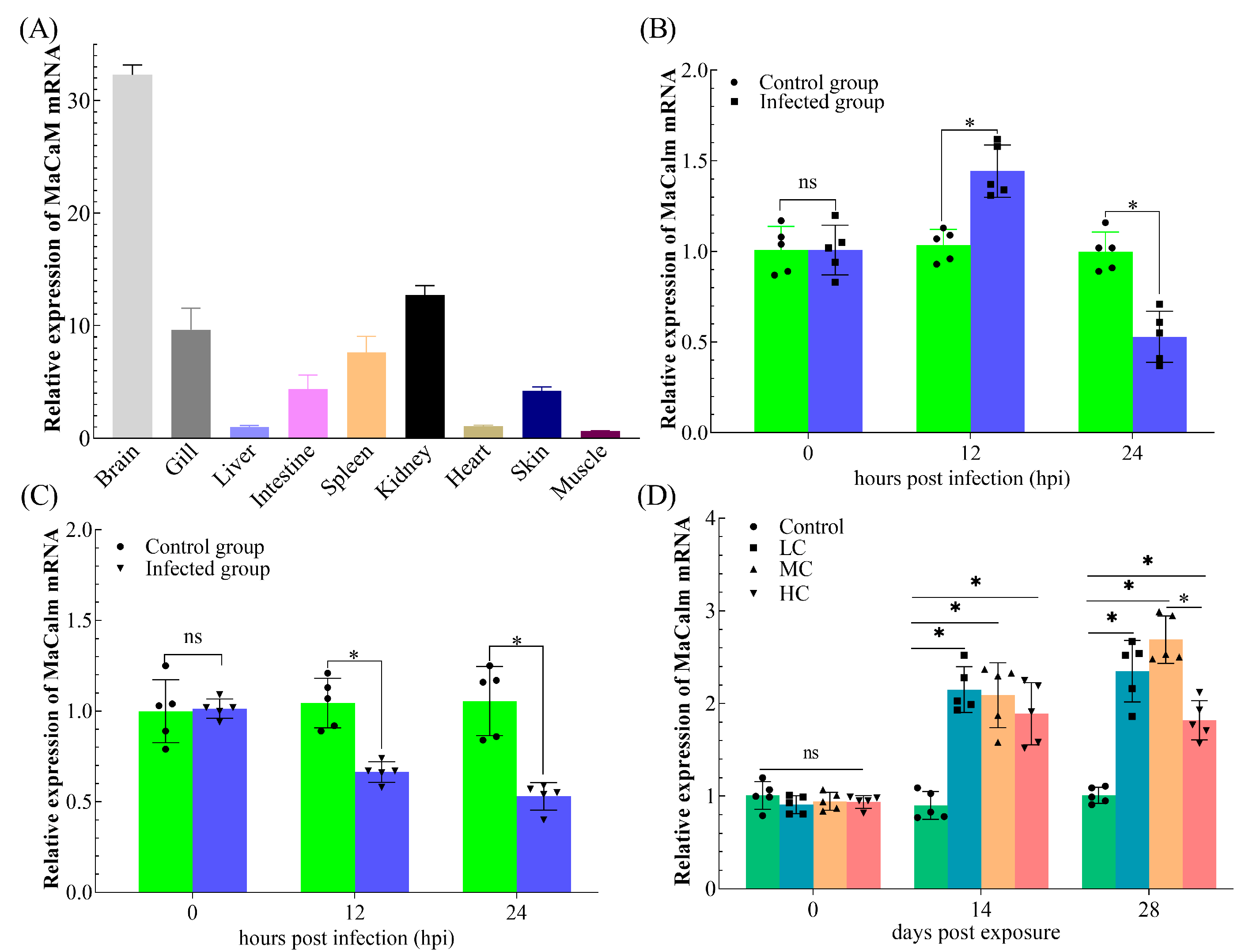 Fishes 09 00182 g004 Fishes 09 00182 g004