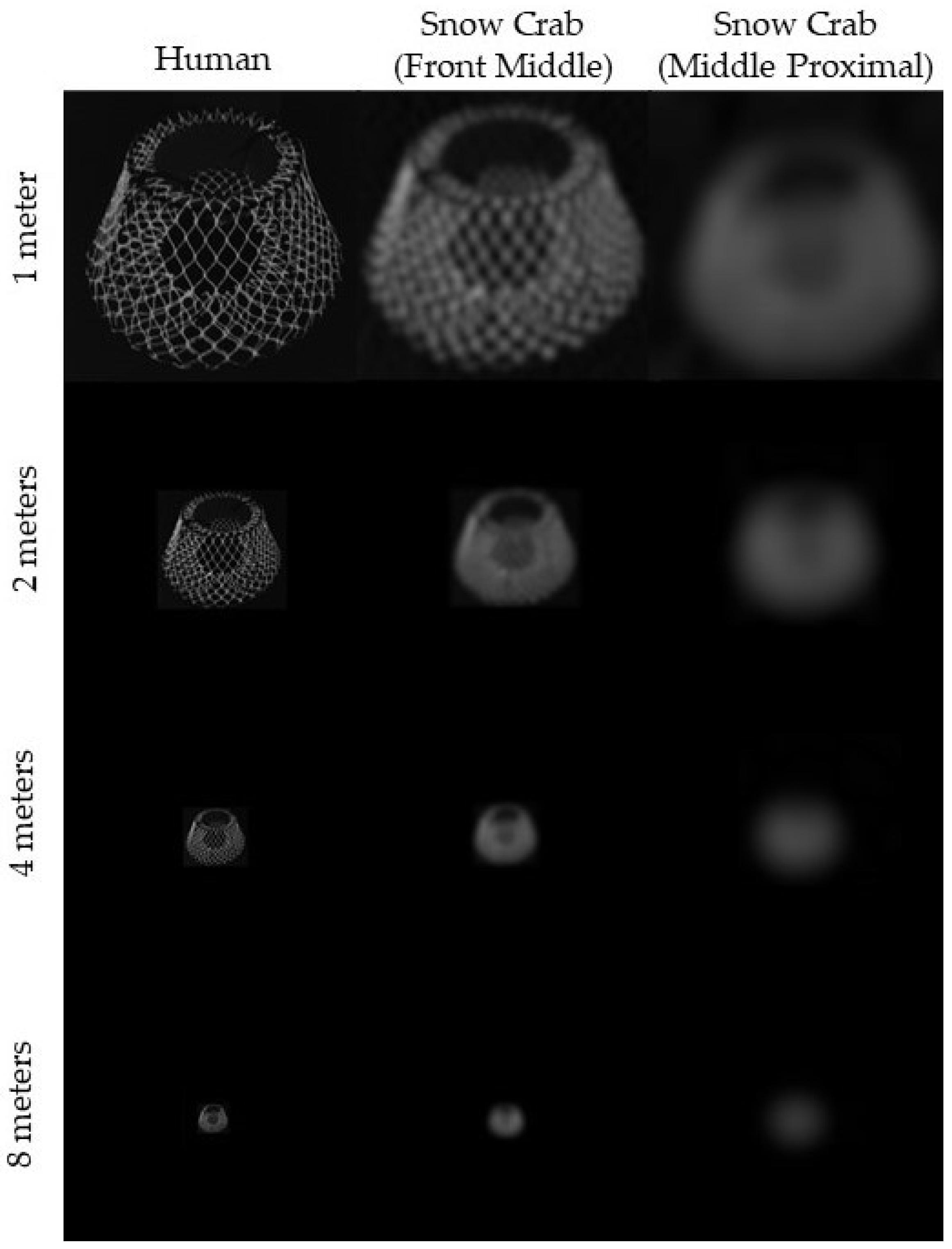 Fishes 09 00185 g004