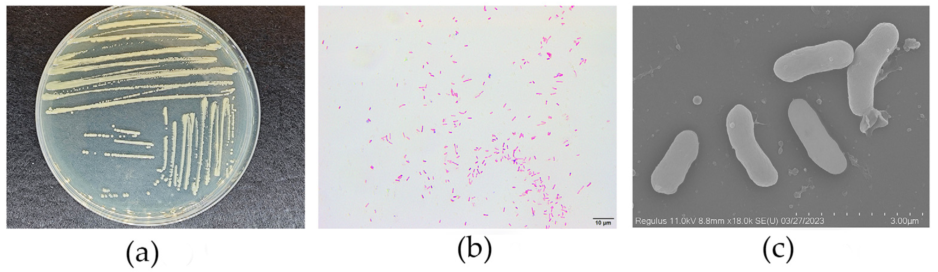 Fishes 09 00188 g002