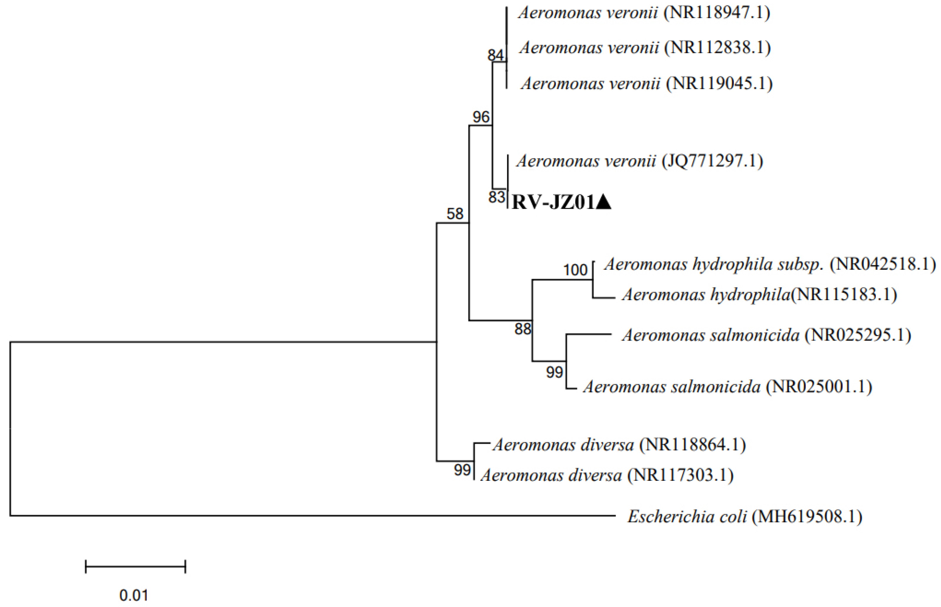 Fishes 09 00188 g003