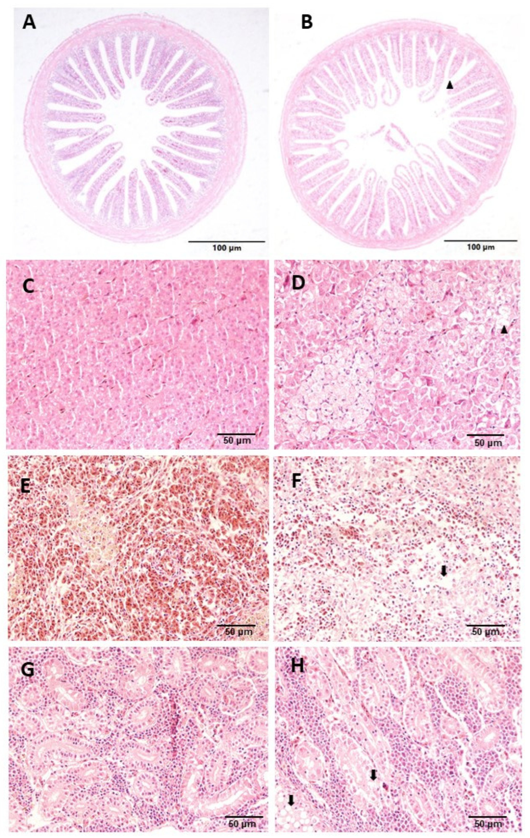 Fishes 09 00188 g004
