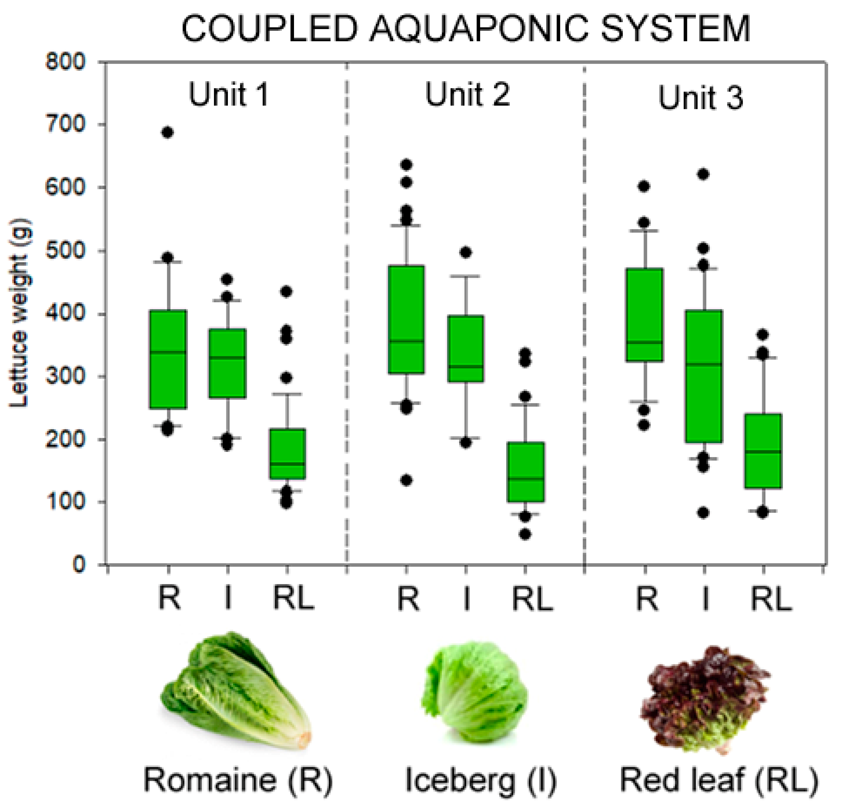 Fishes 09 00189 g005 Fishes 09 00189 g005