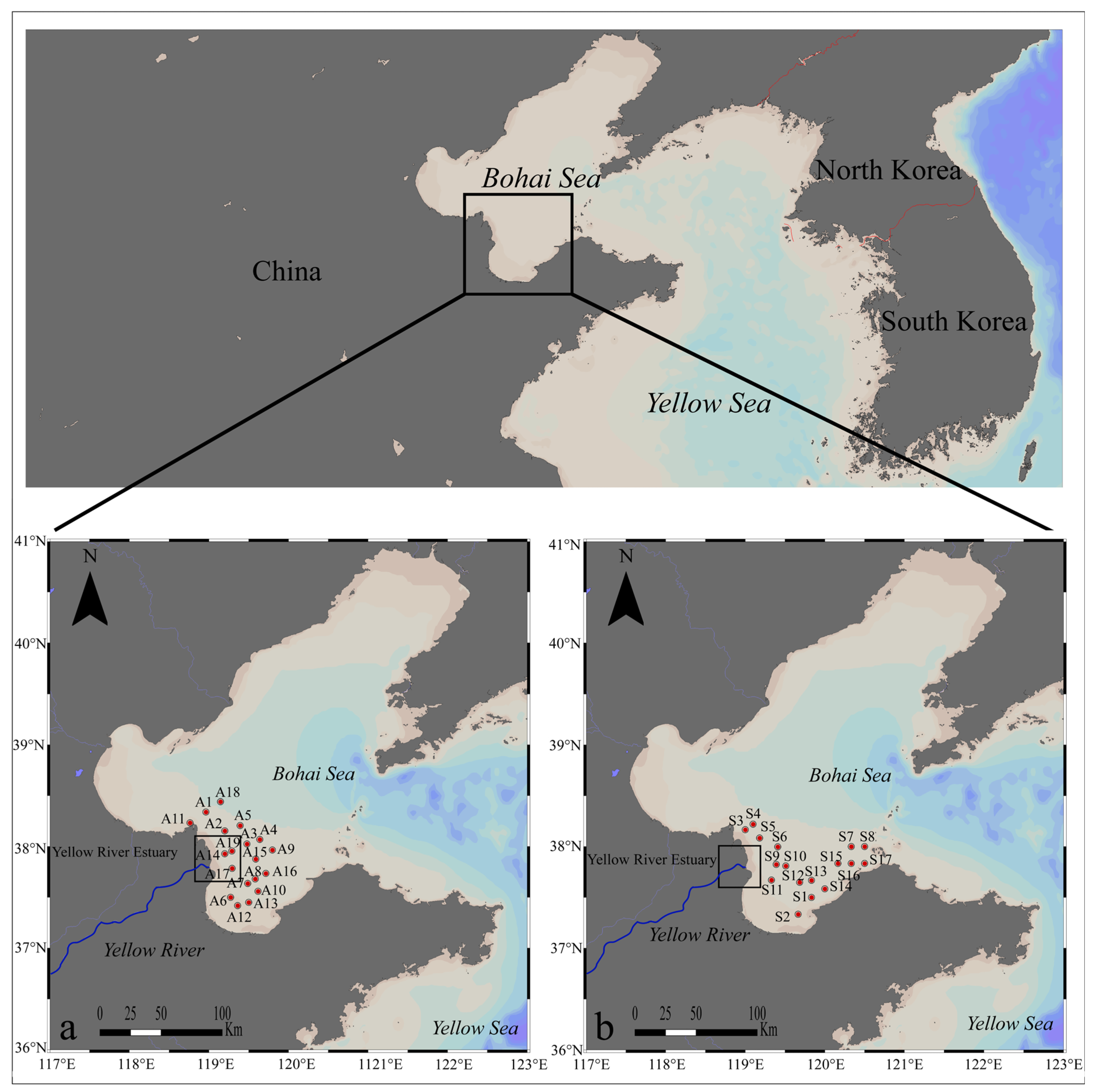 Fishes 09 00192 g001