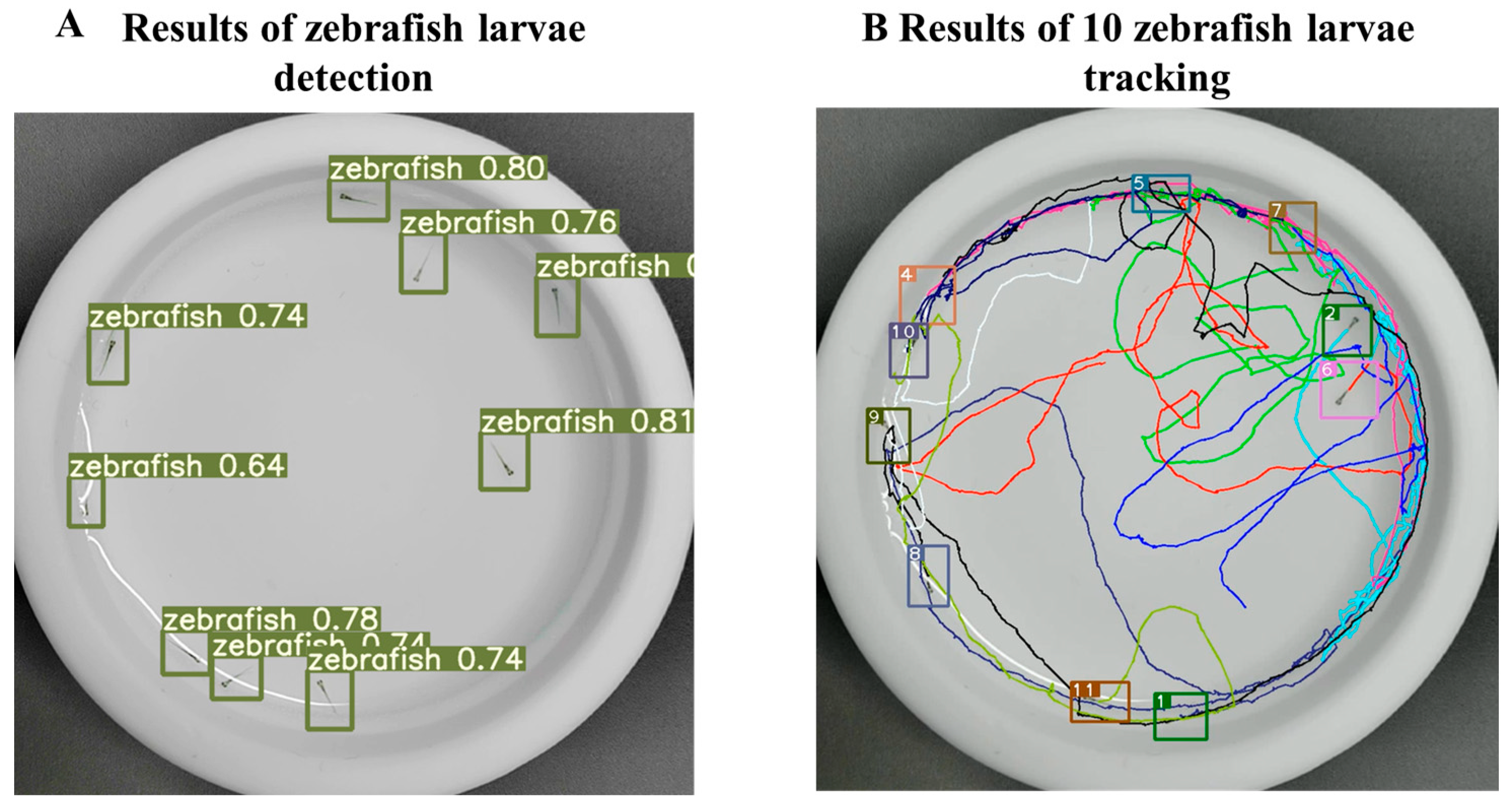 Fishes 09 00193 g002