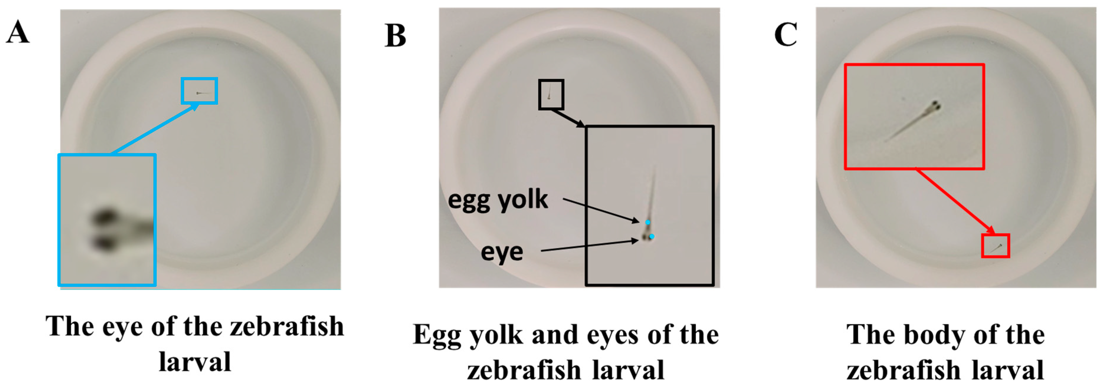 Fishes 09 00193 g003