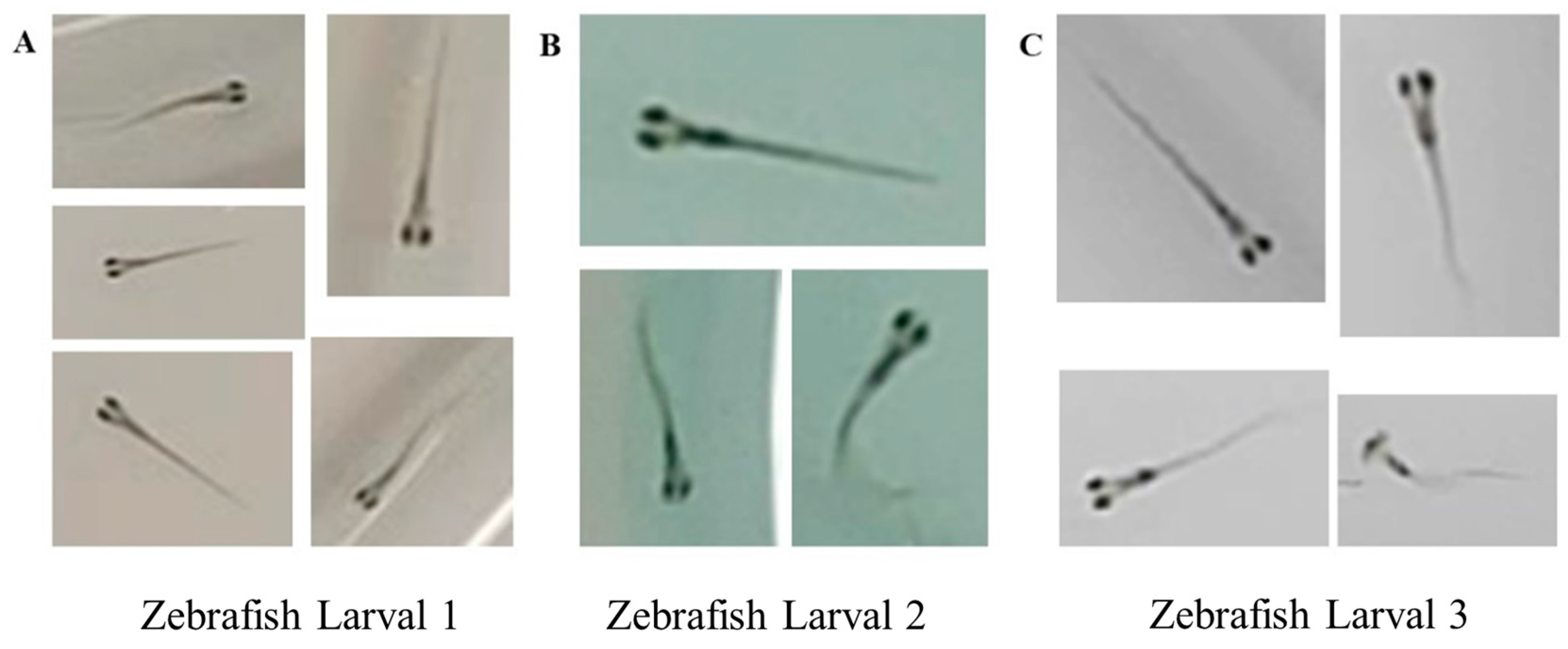 Fishes 09 00193 g004