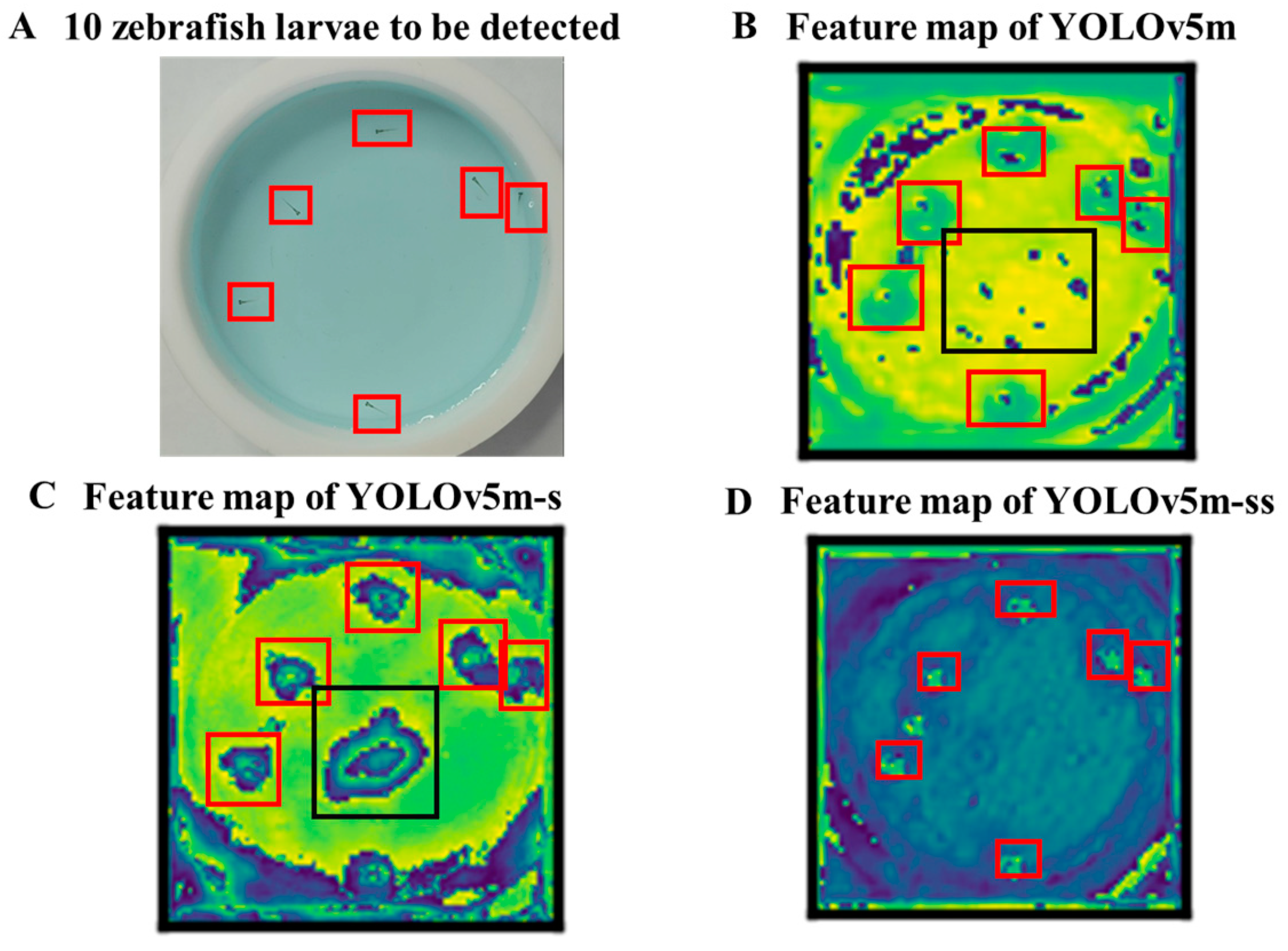 Fishes 09 00193 g008