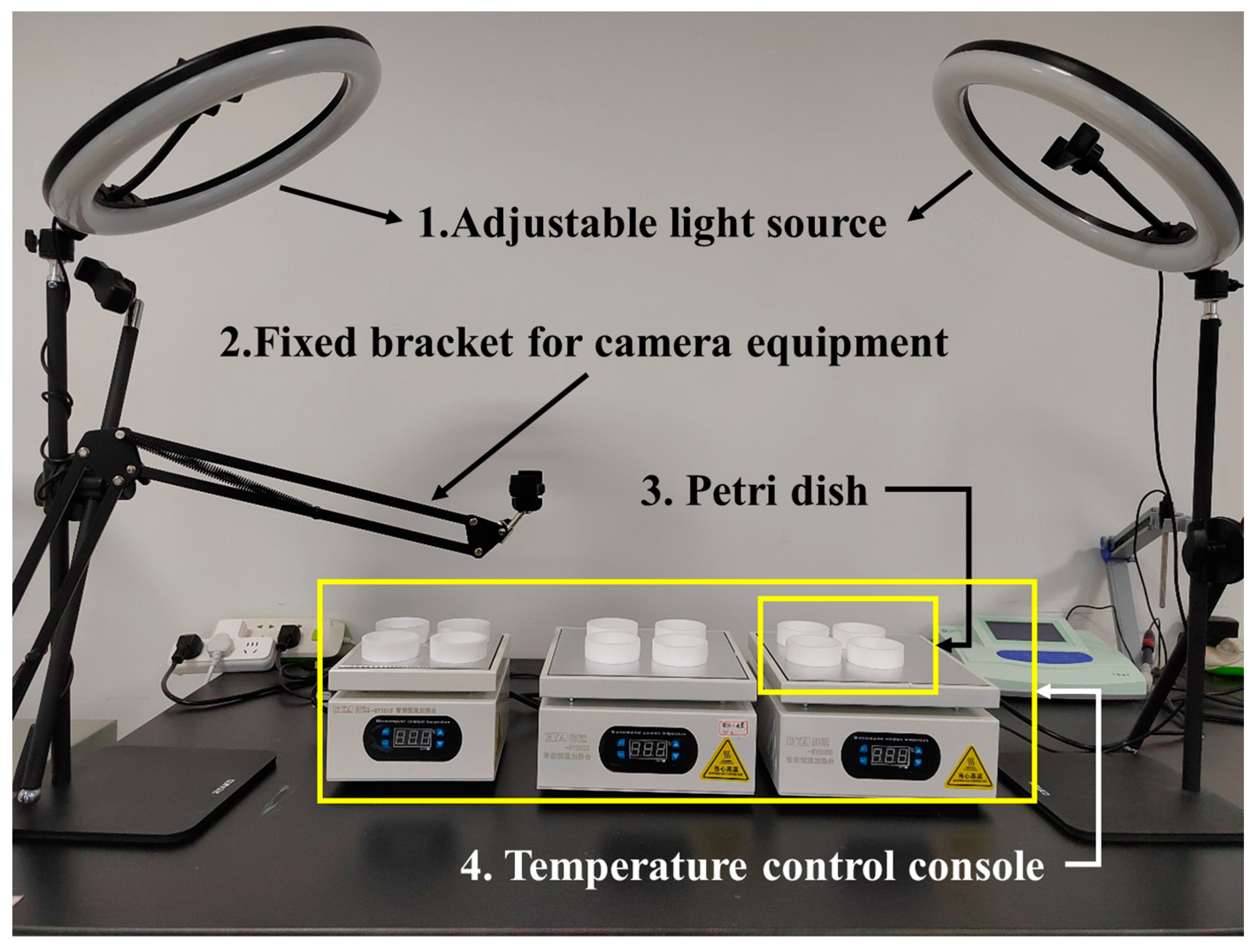Fishes 09 00193 g010