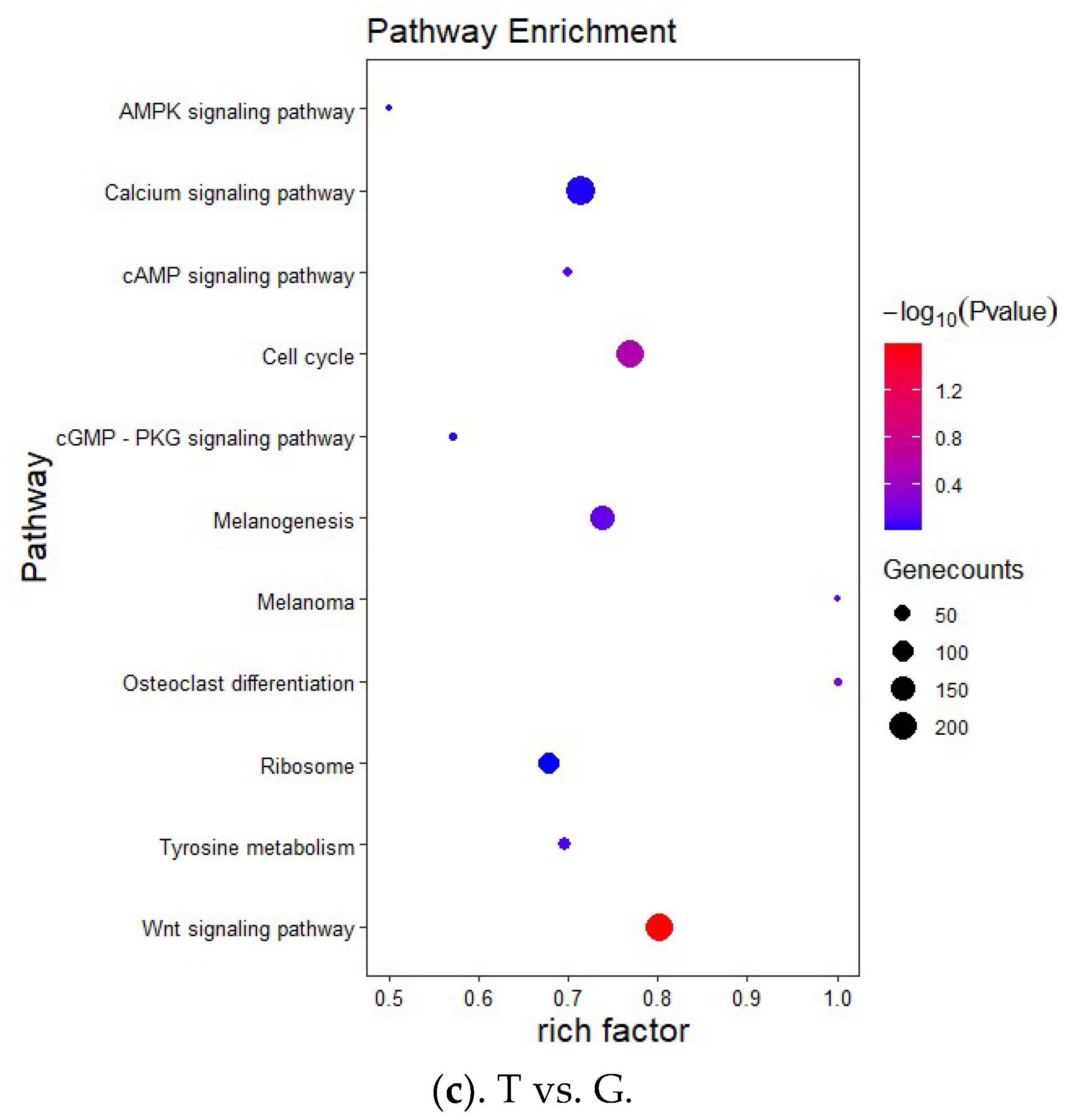 Fishes 09 00194 g009b