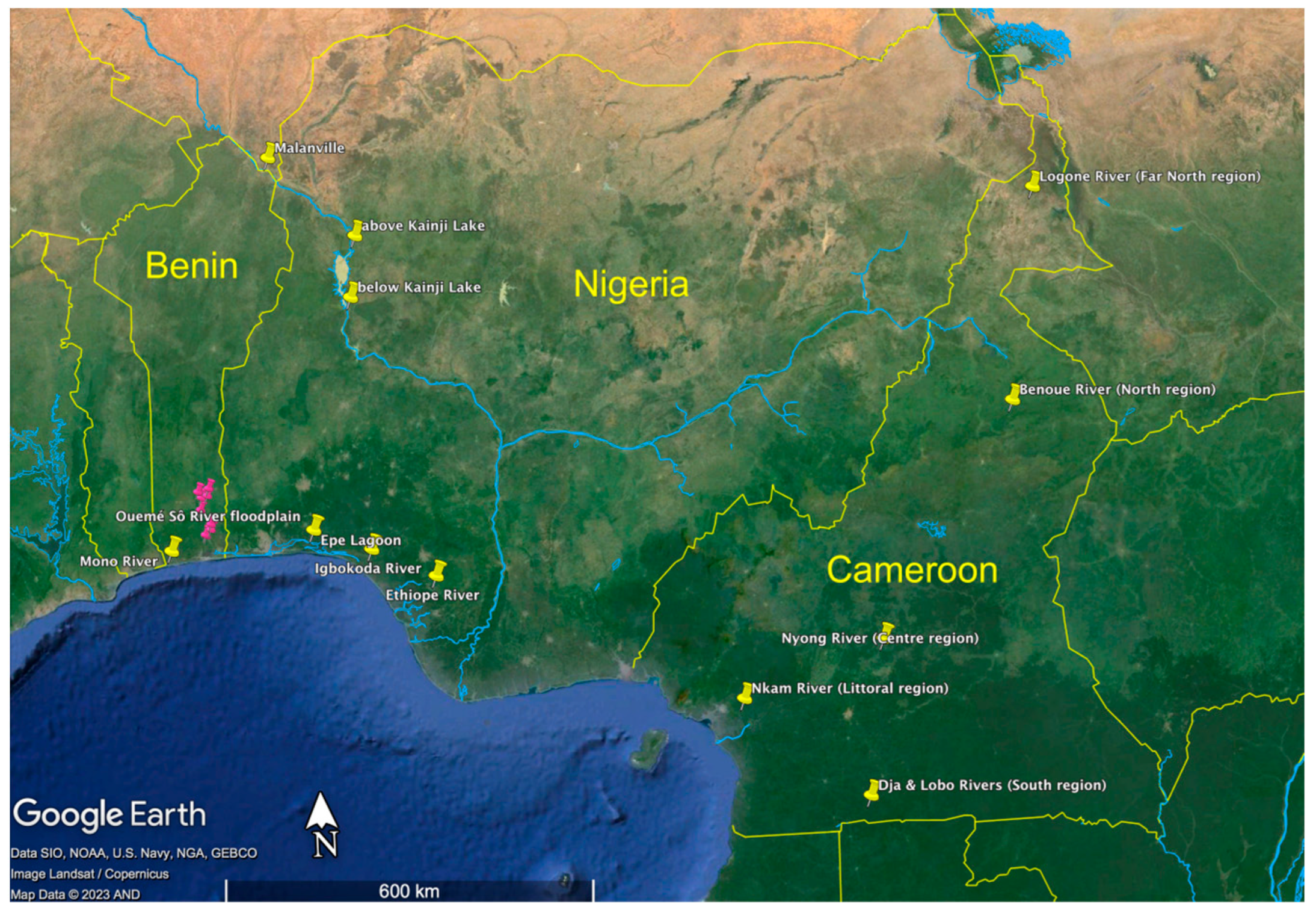 Fishes 09 00196 g001