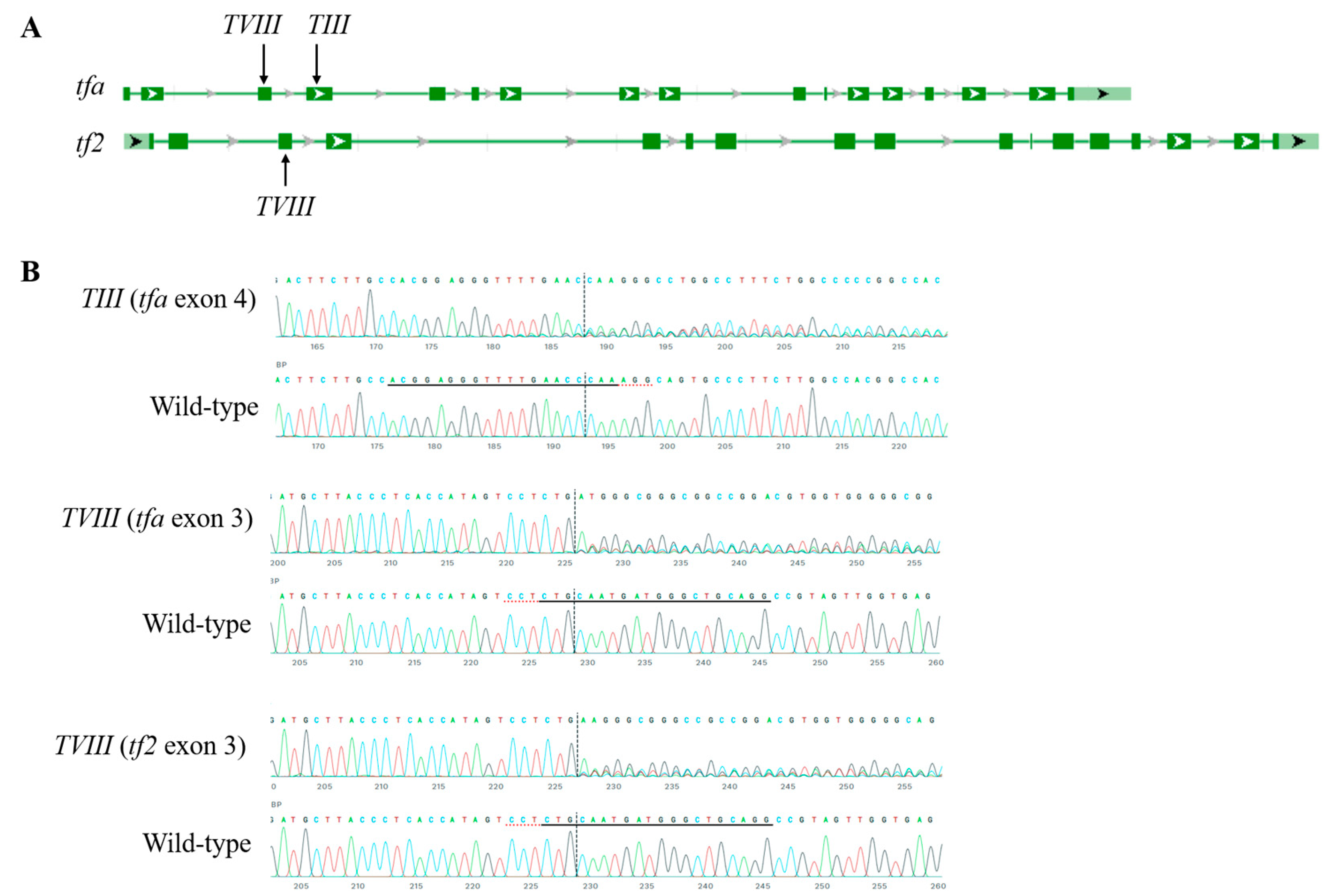 Fishes 09 00198 g001