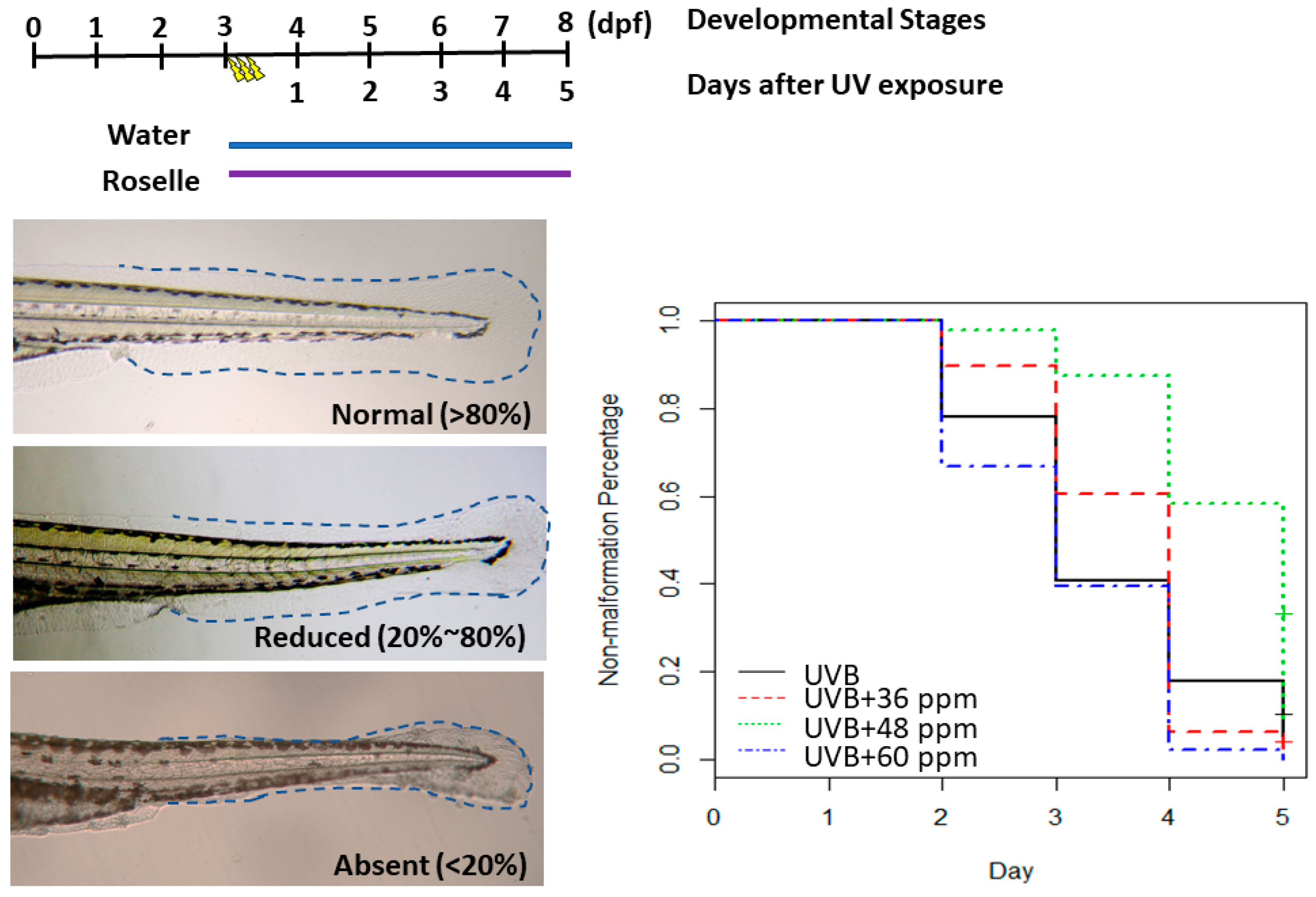 Fishes 09 00199 g004