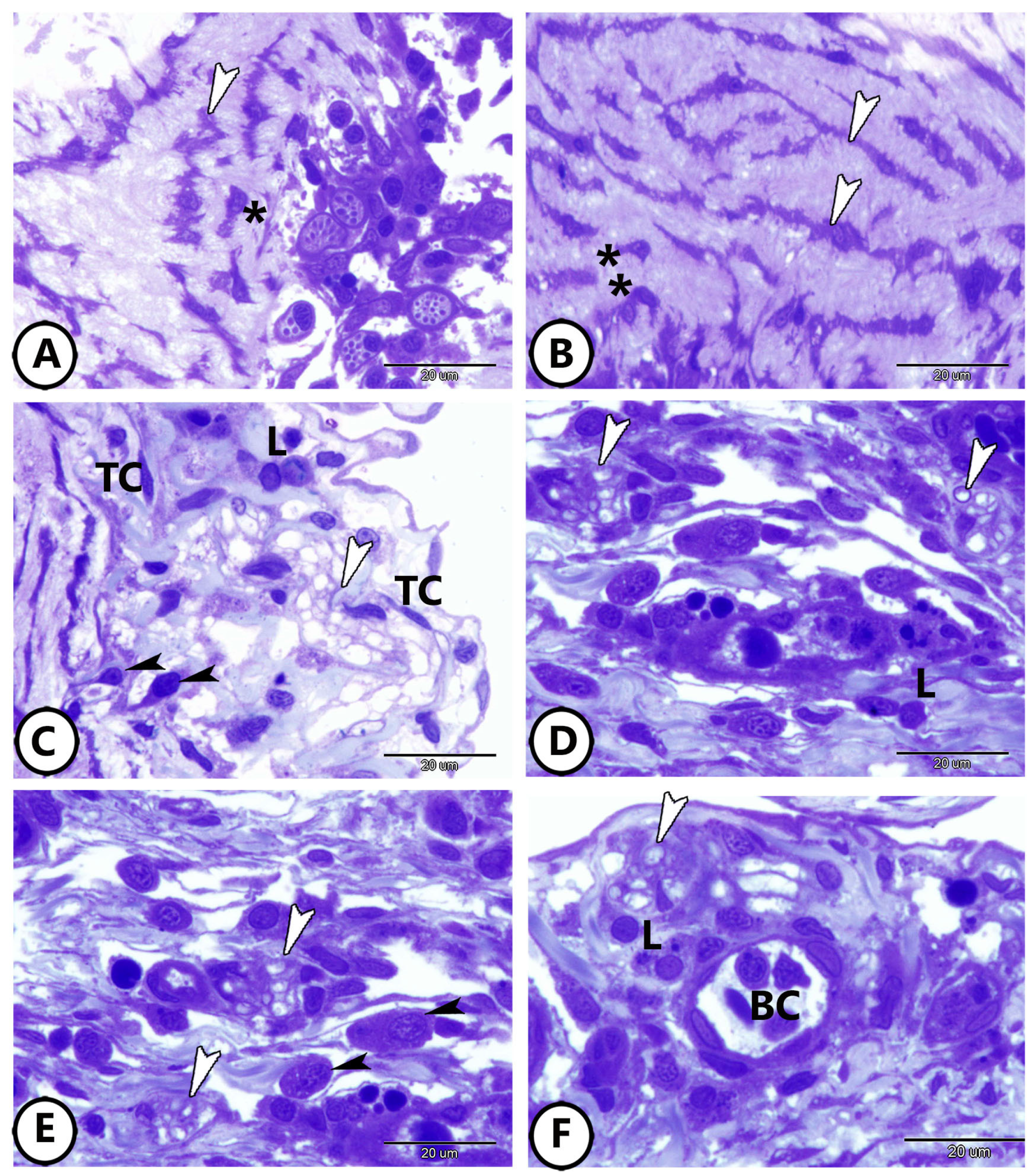 Fishes 09 00203 g003