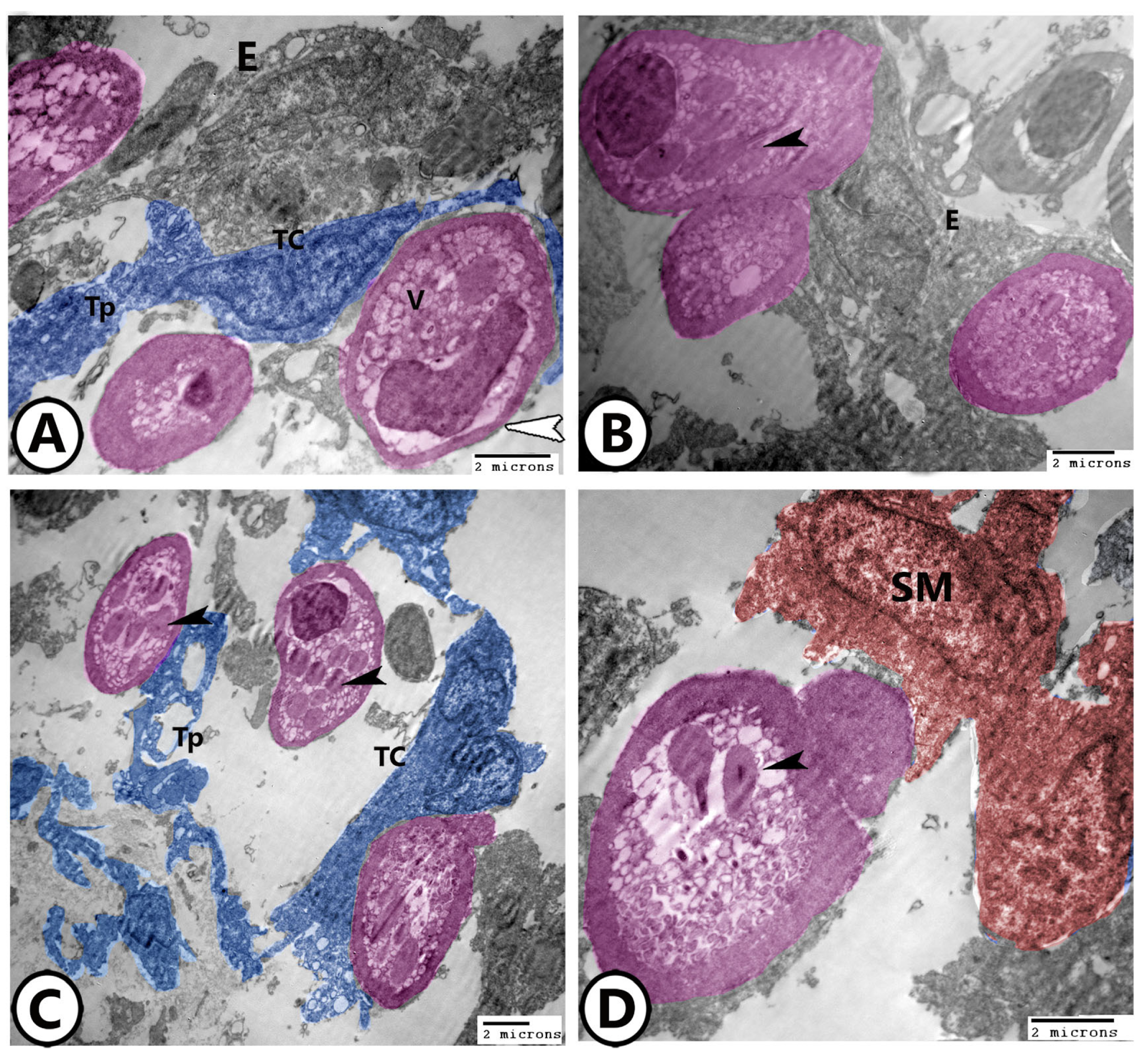 Fishes 09 00203 g004