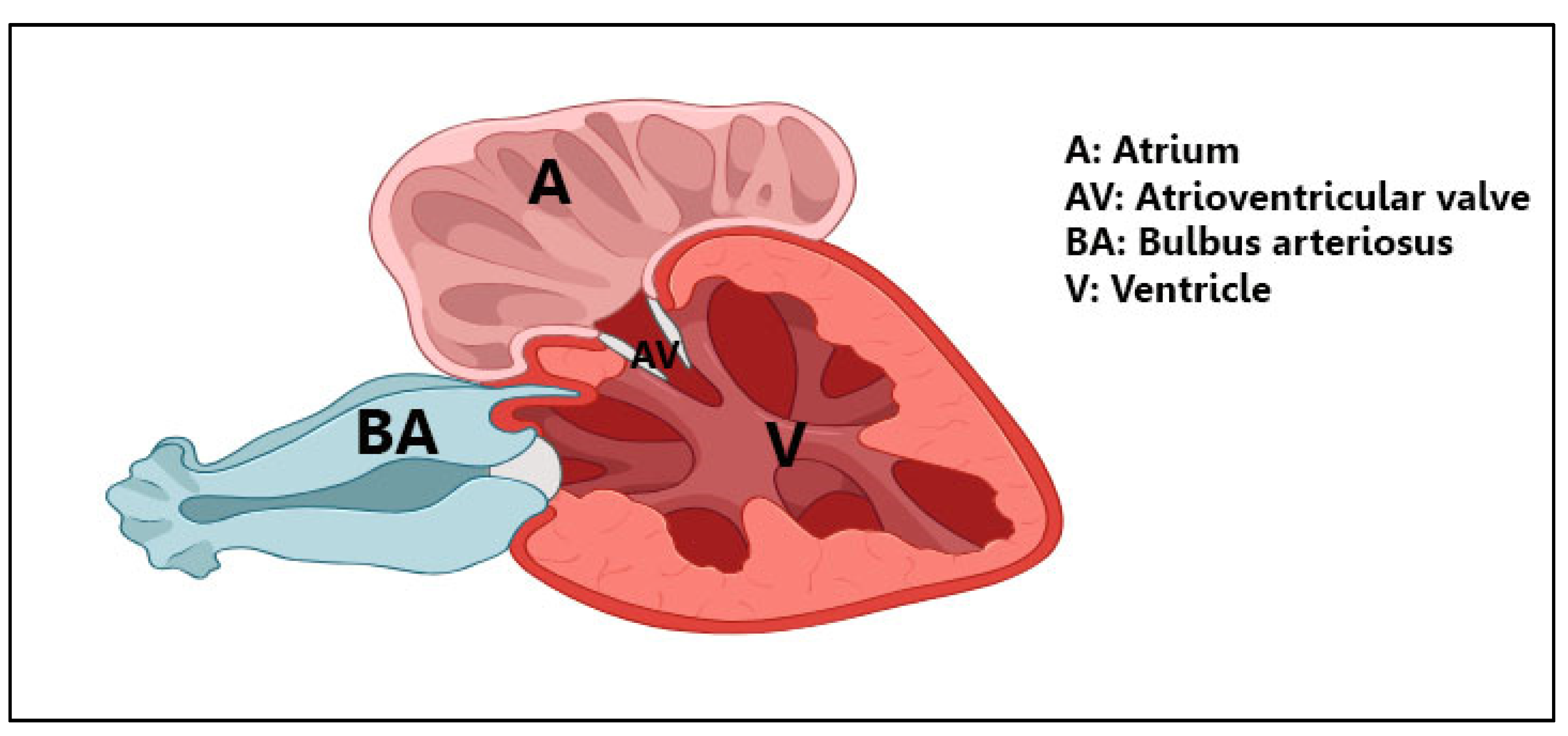 Fishes 09 00203 g008