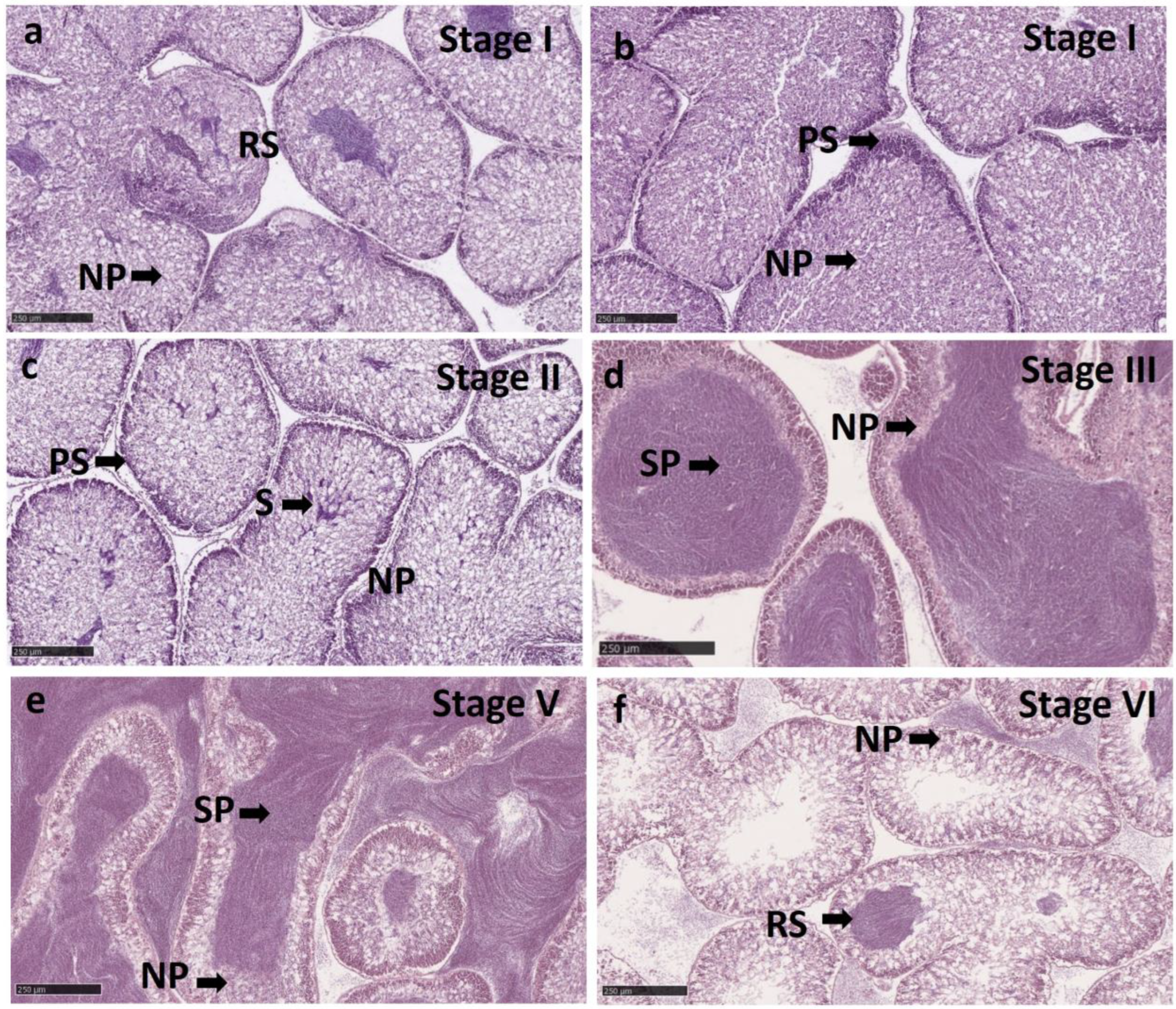 Fishes 09 00207 g003