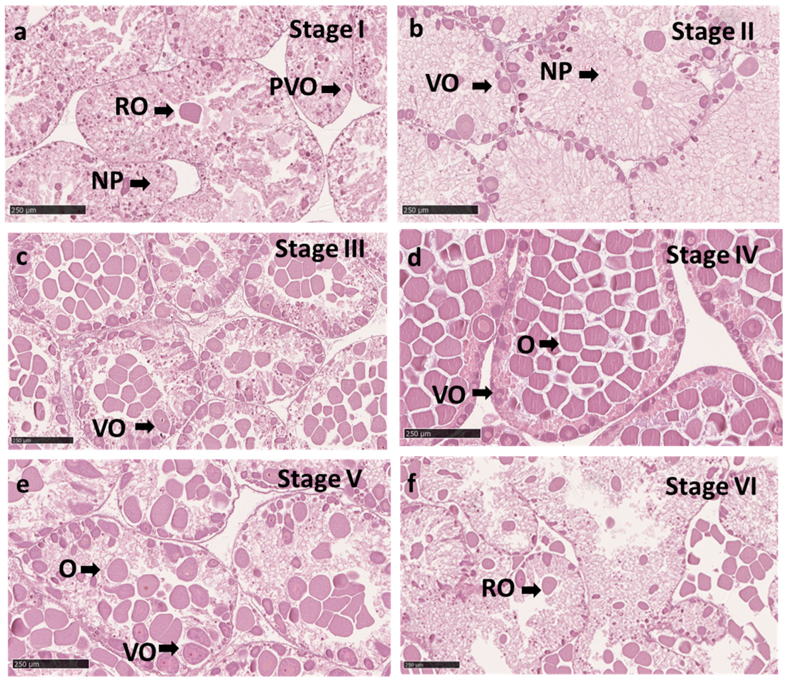 Fishes 09 00207 g004