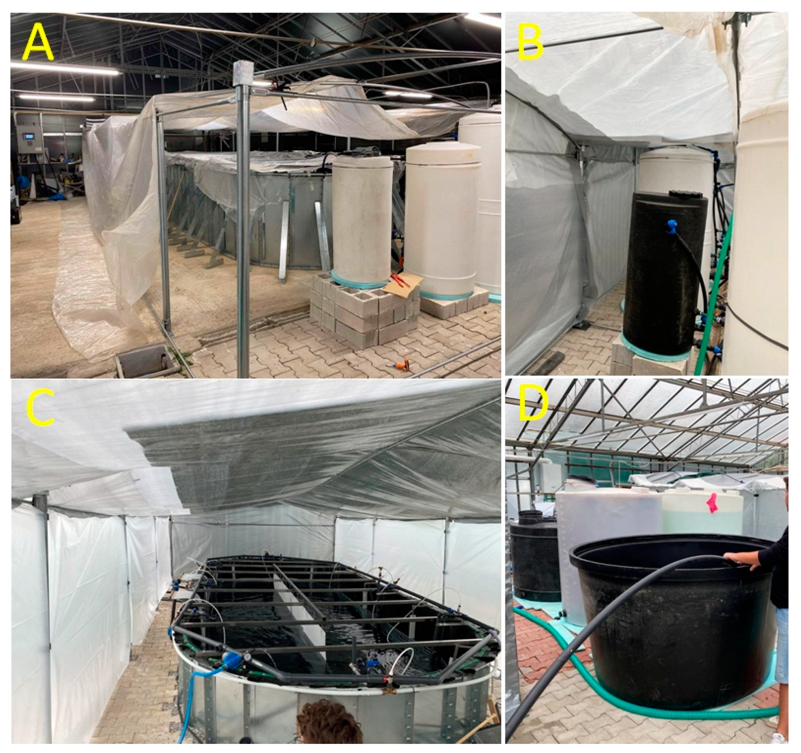 Fishes 09 00208 g003