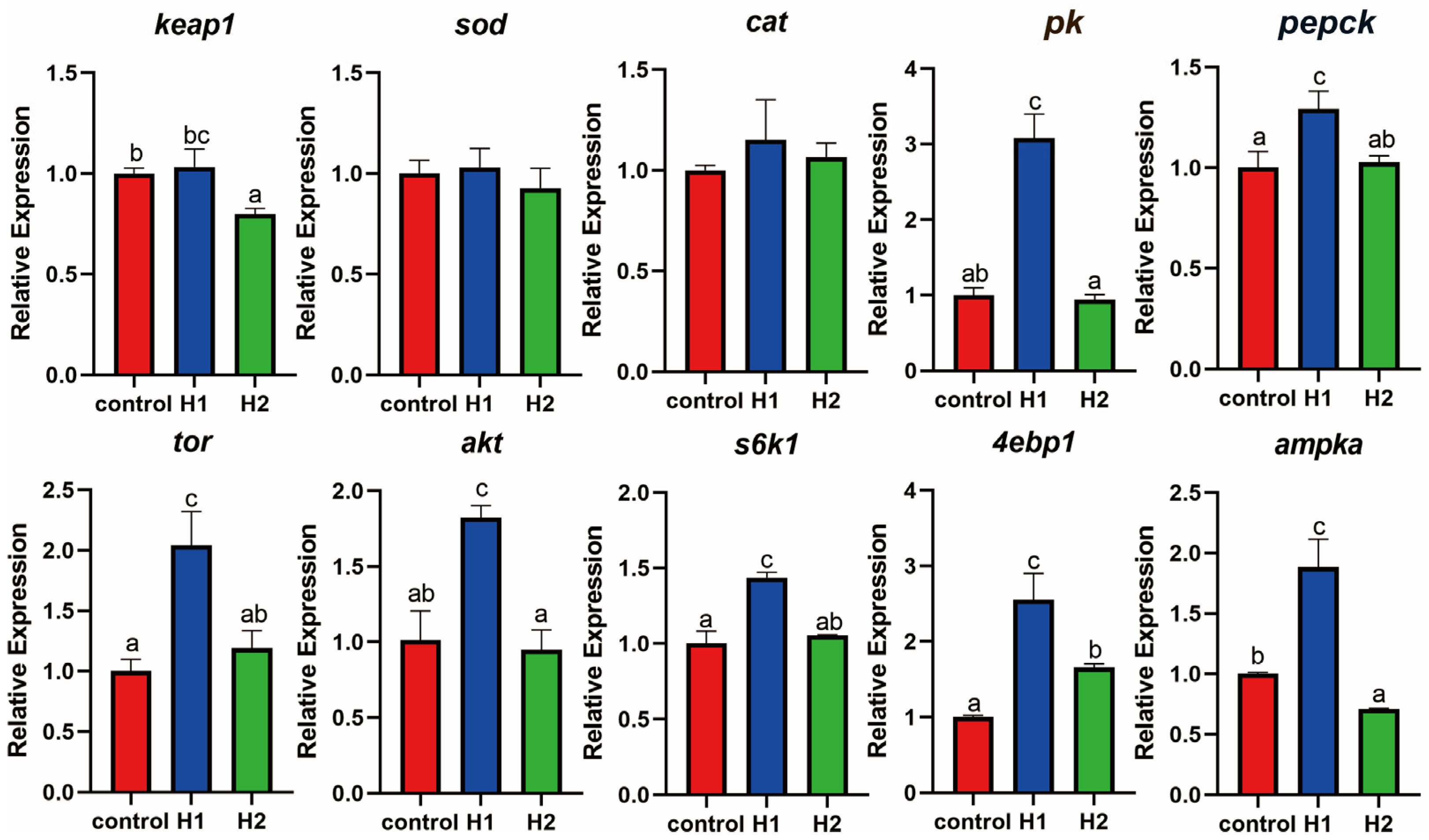 Fishes 09 00210 g002