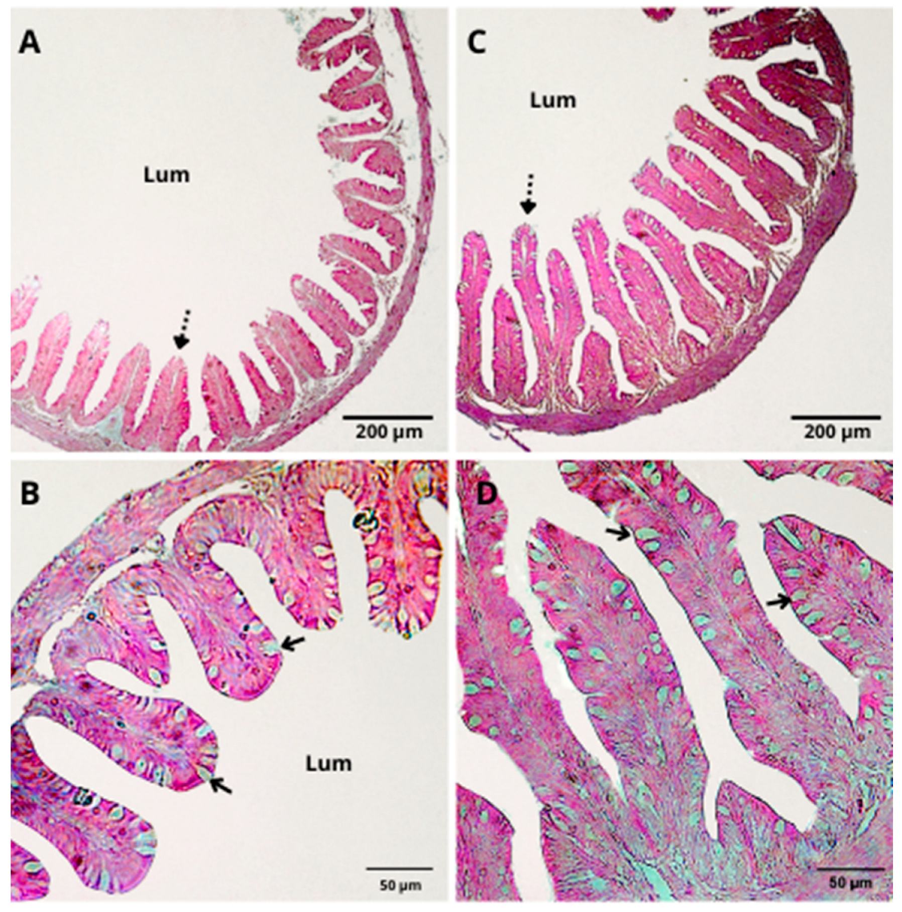 Fishes 09 00212 g001