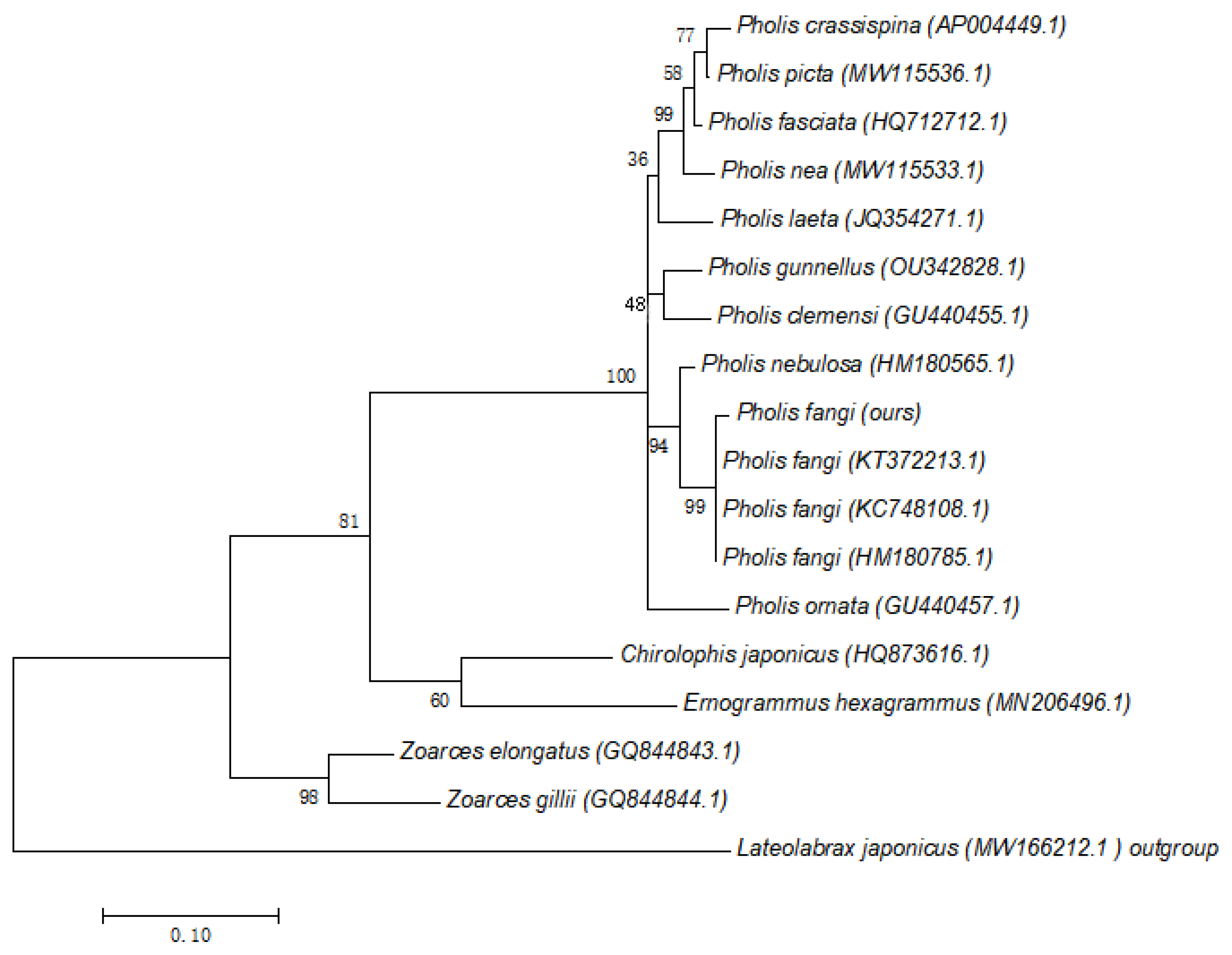 Fishes 09 00213 g002