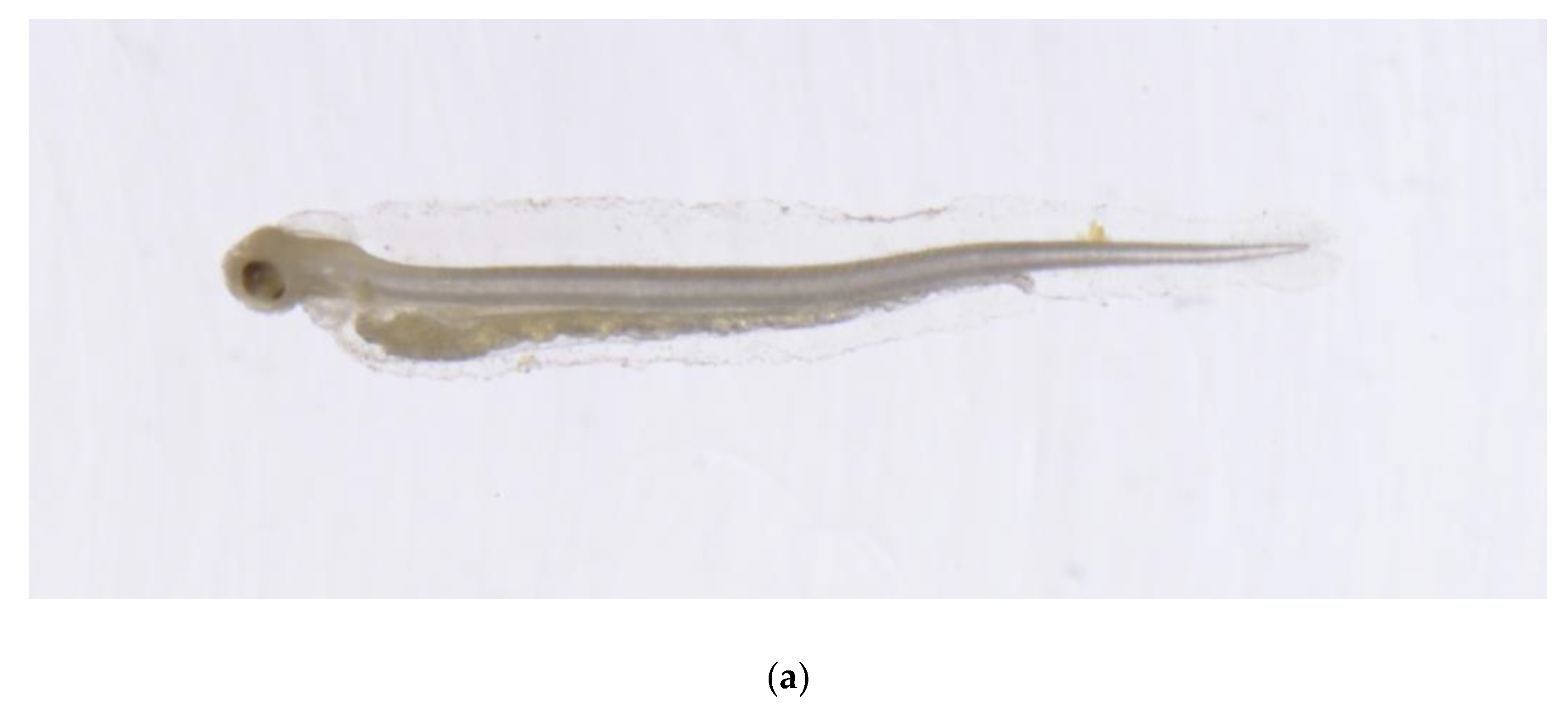 Fishes 09 00213 g003a