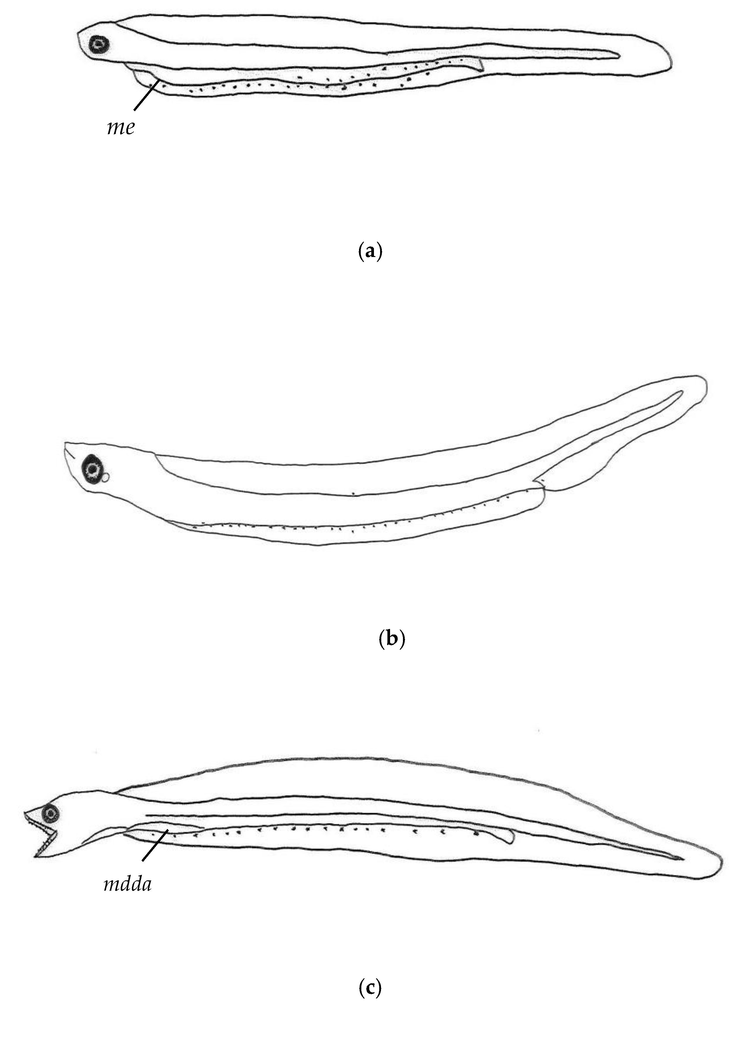 Fishes 09 00213 g004a