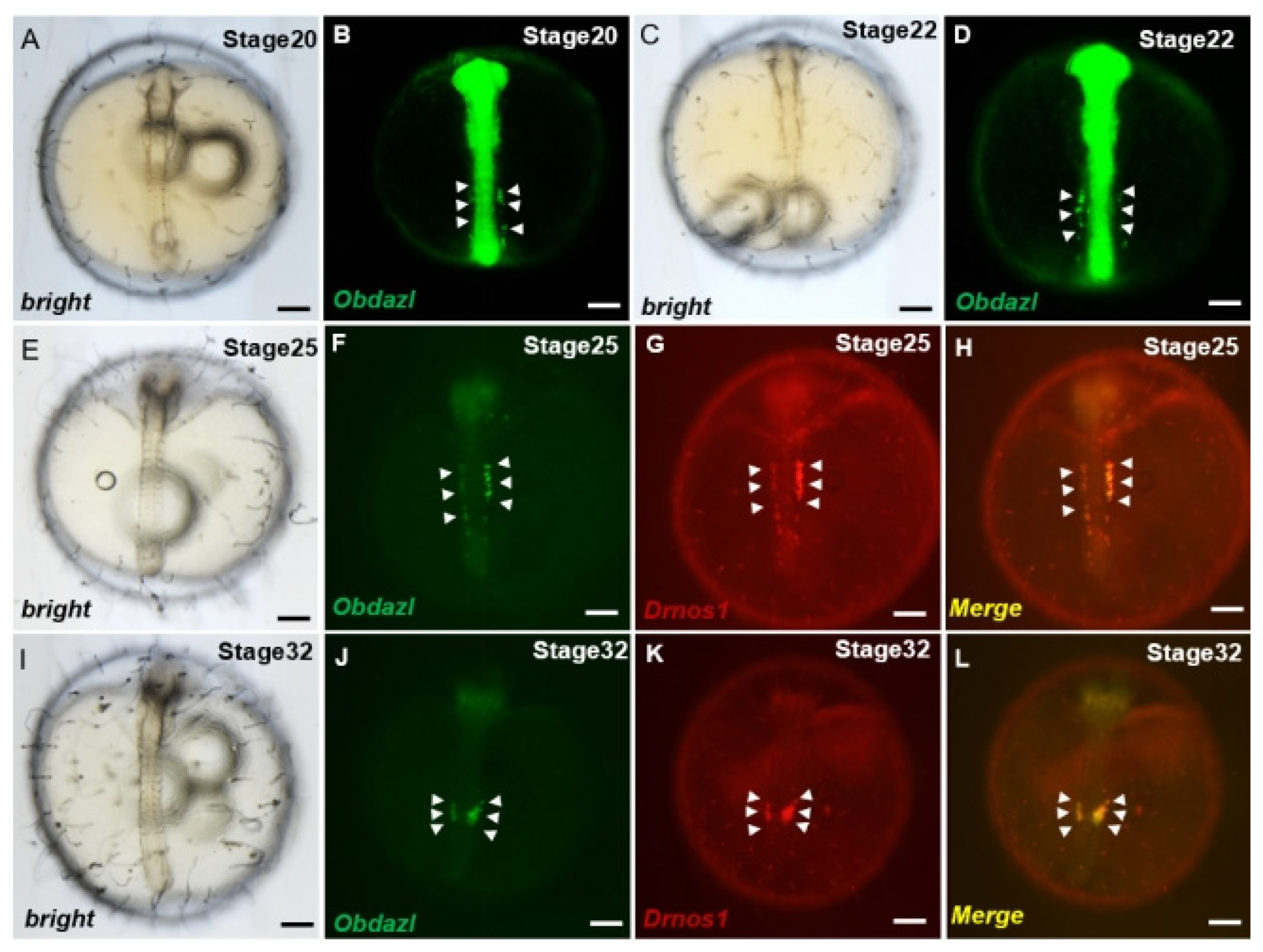 Fishes 09 00214 g005