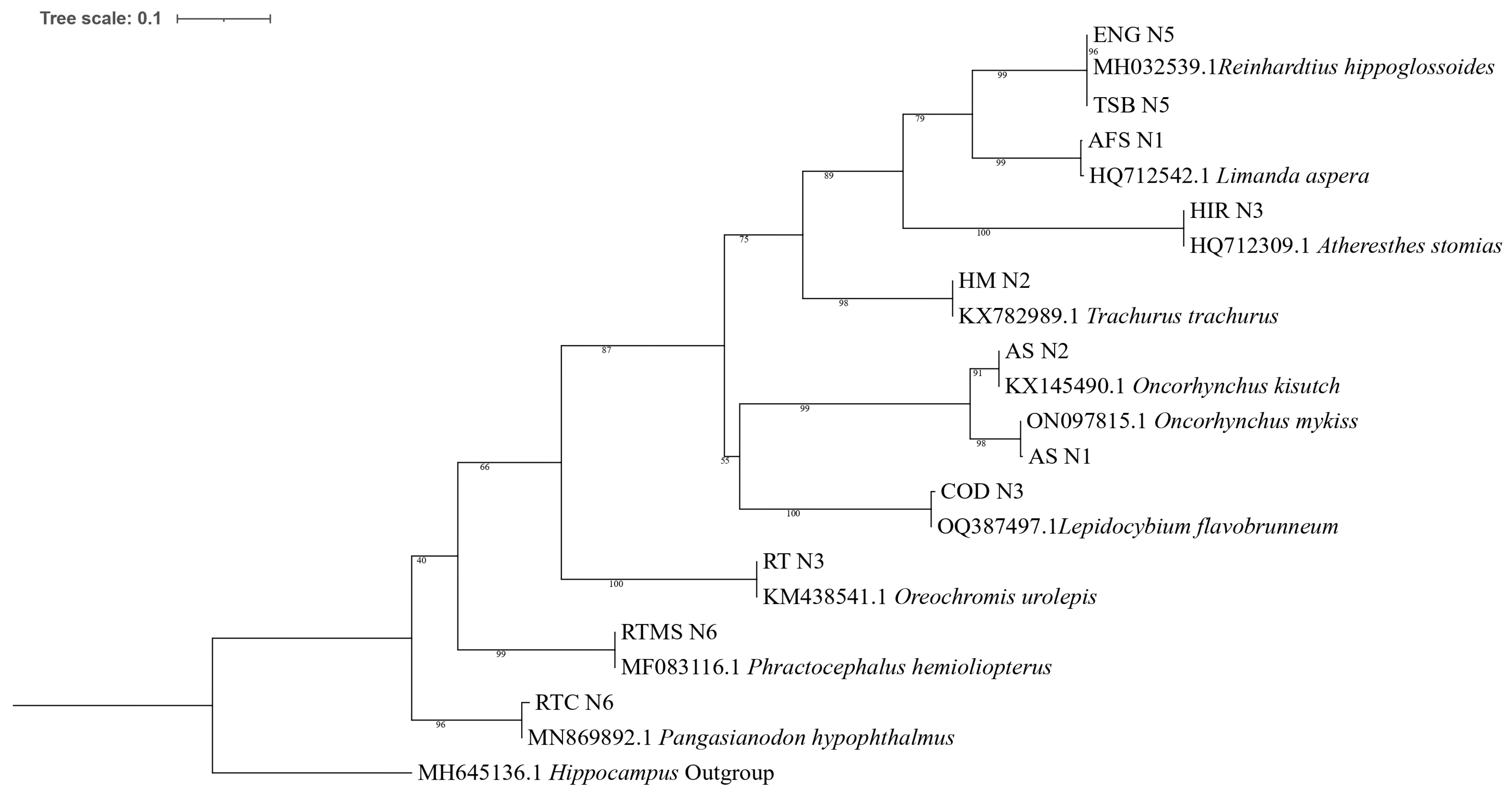 Fishes 09 00215 g004