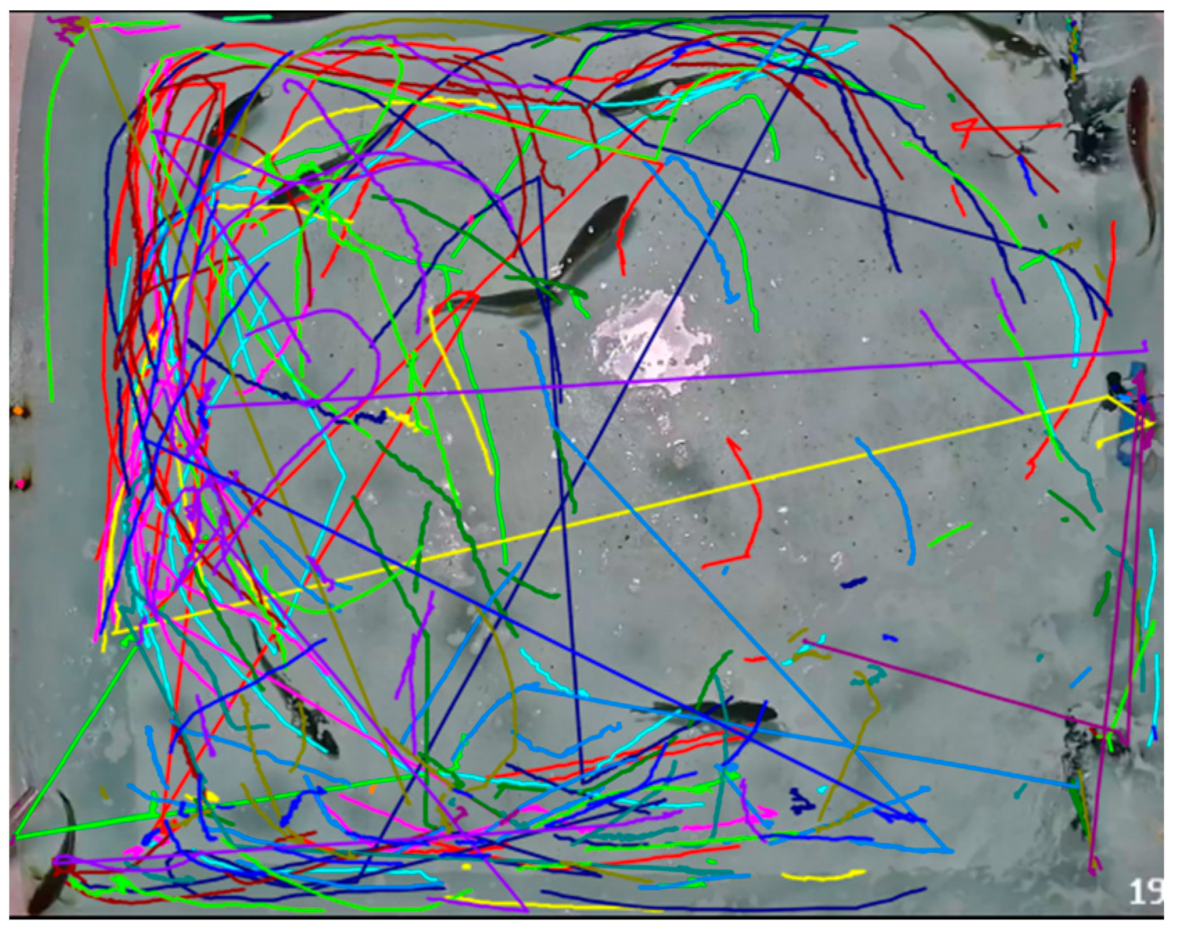 Fishes 09 00217 g005