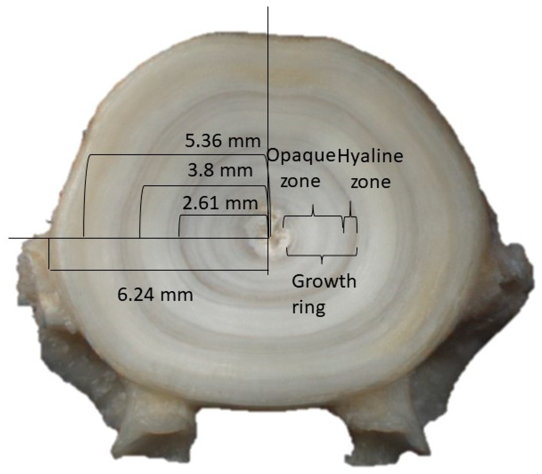 Fishes 09 00223 g002