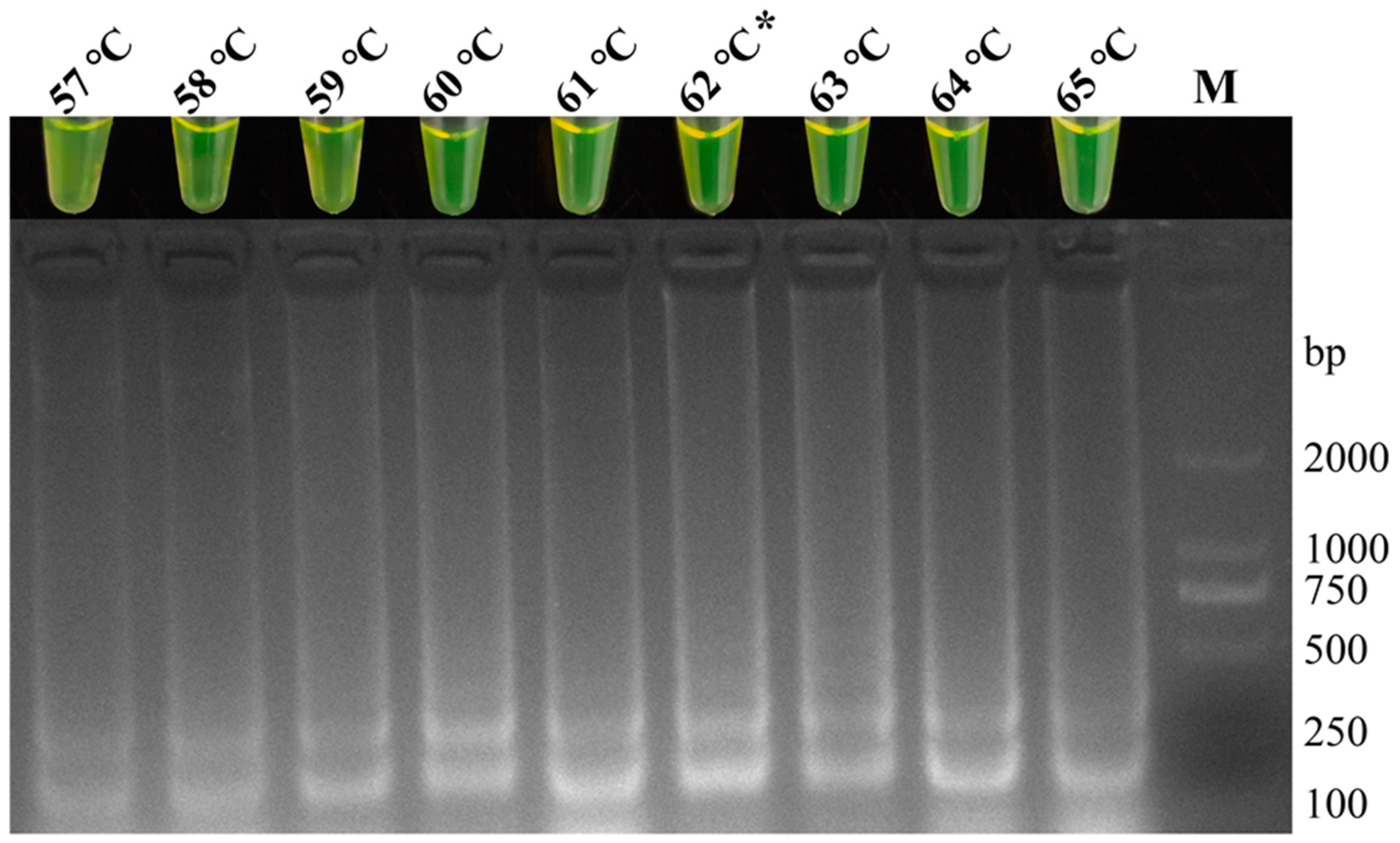 Fishes 09 00225 g002