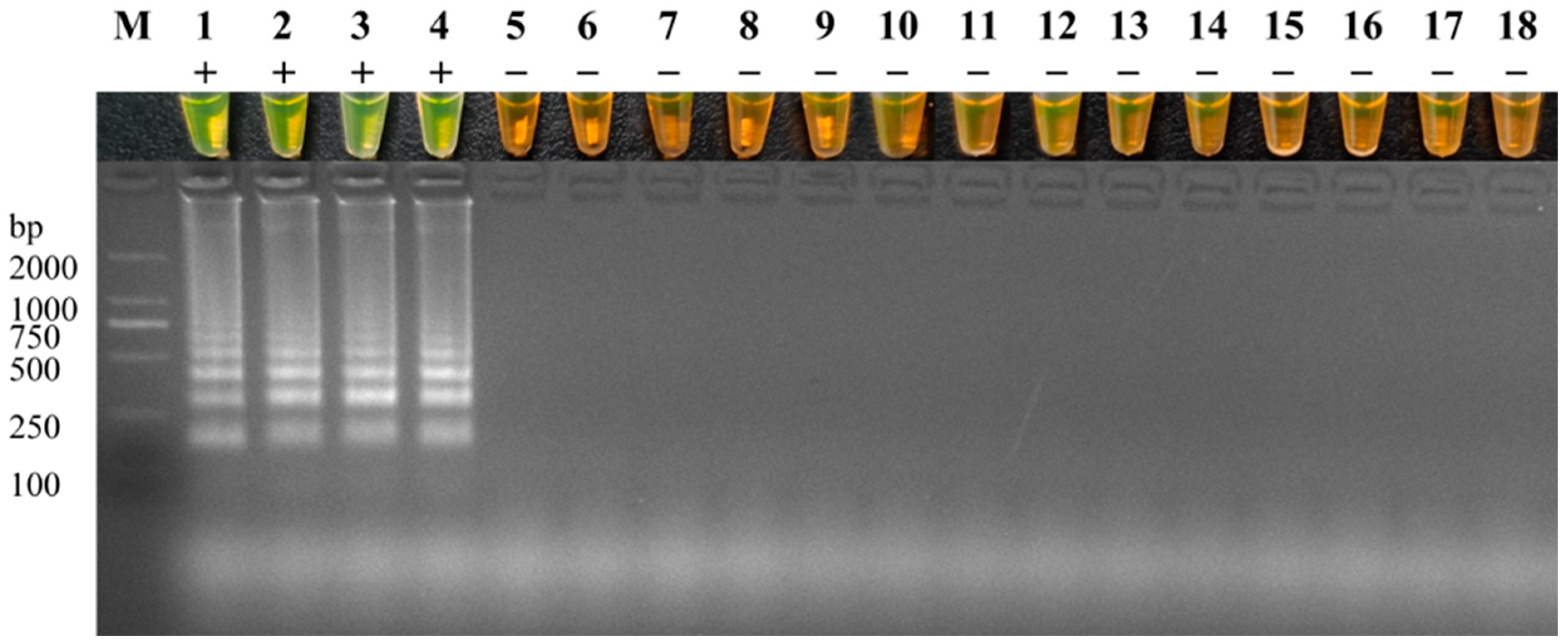 Fishes 09 00225 g004