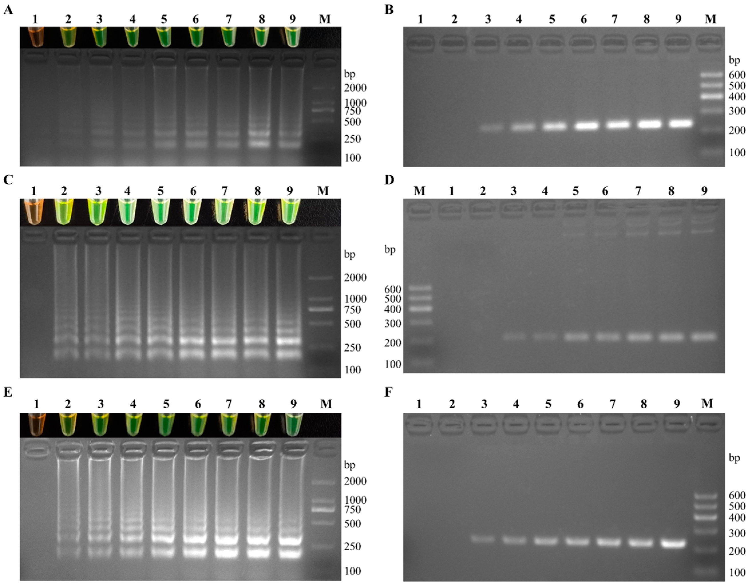 Fishes 09 00225 g006