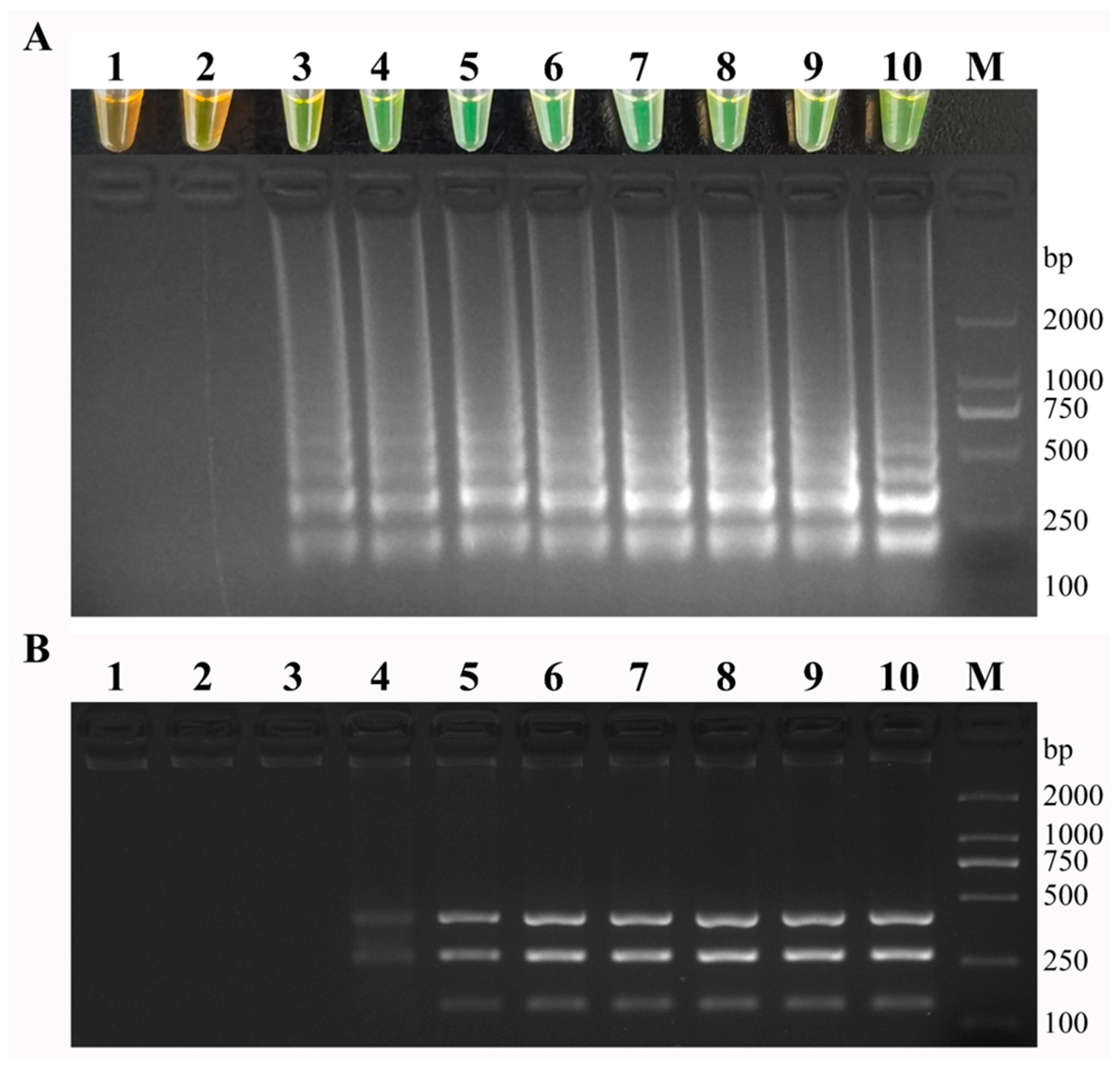 Fishes 09 00225 g007