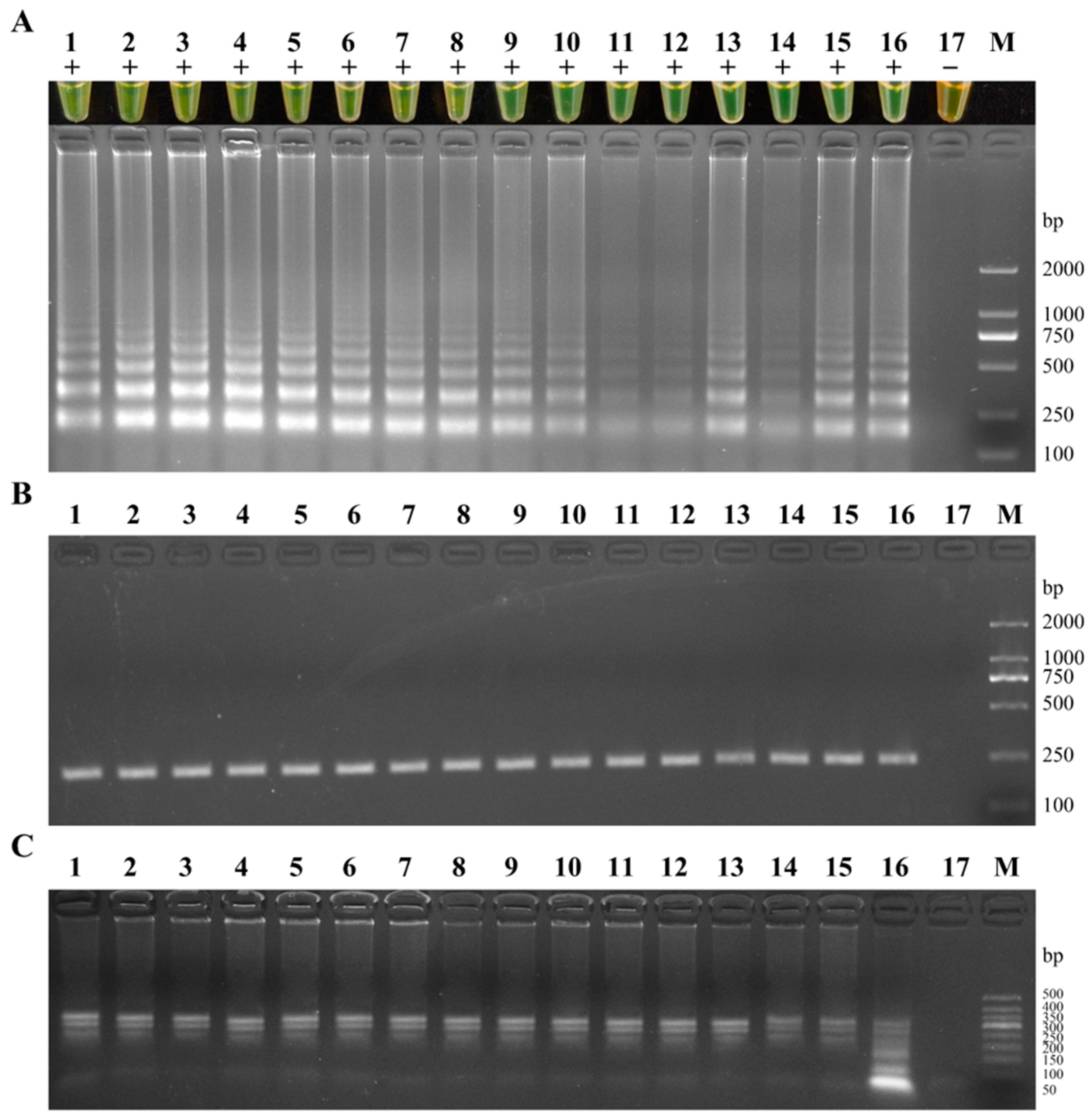 Fishes 09 00225 g008