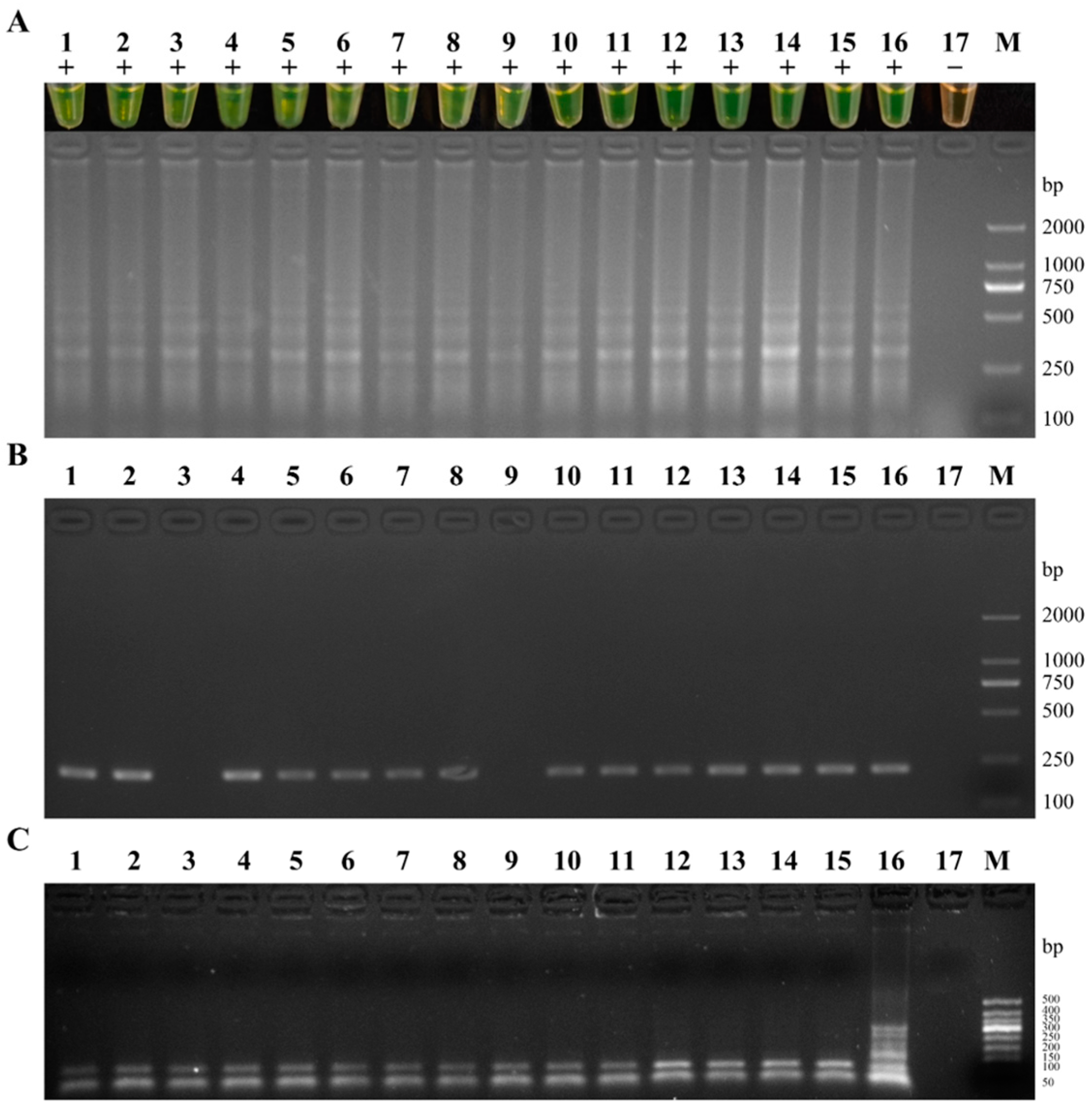 Fishes 09 00225 g010