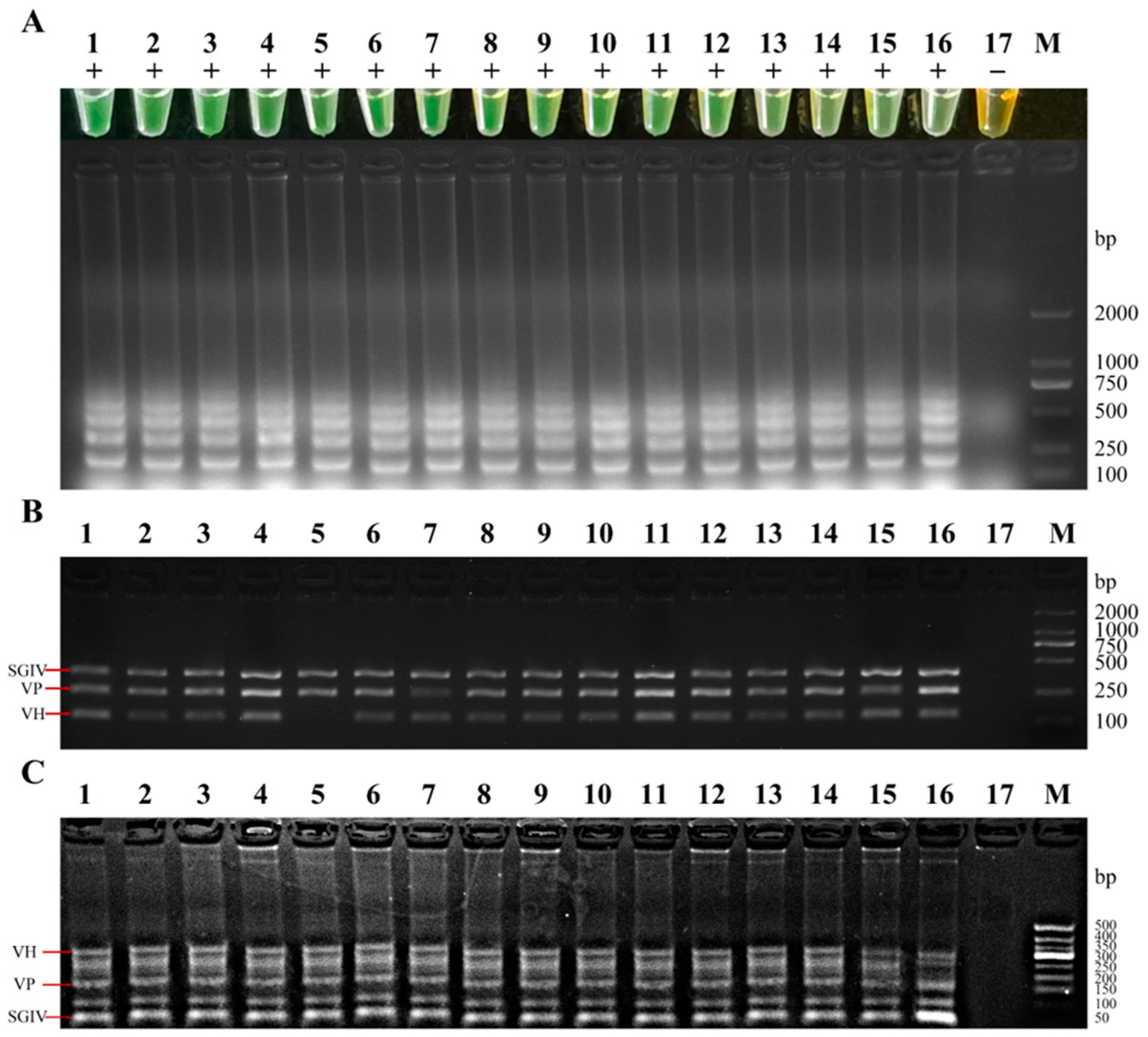 Fishes 09 00225 g011