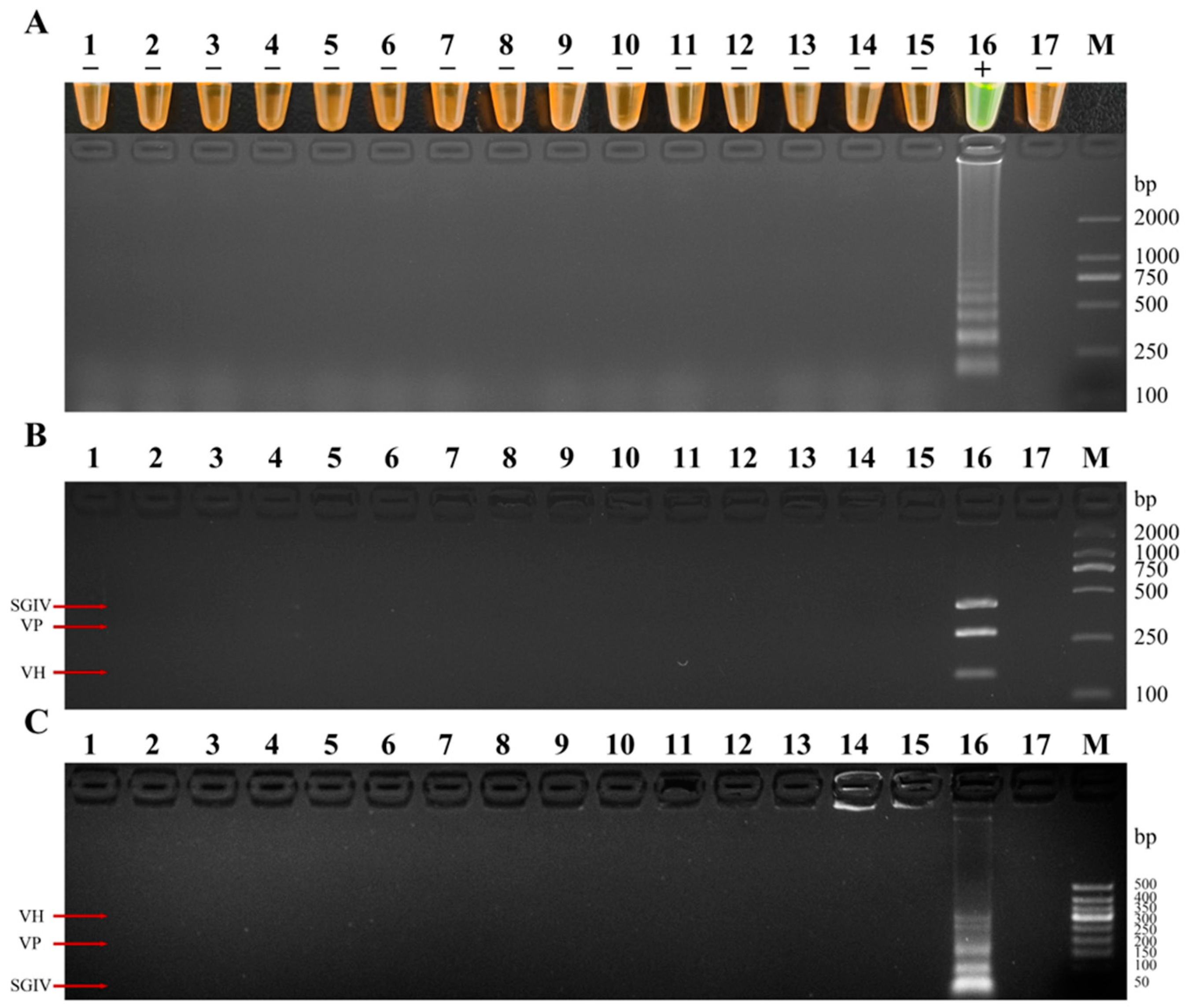 Fishes 09 00225 g012