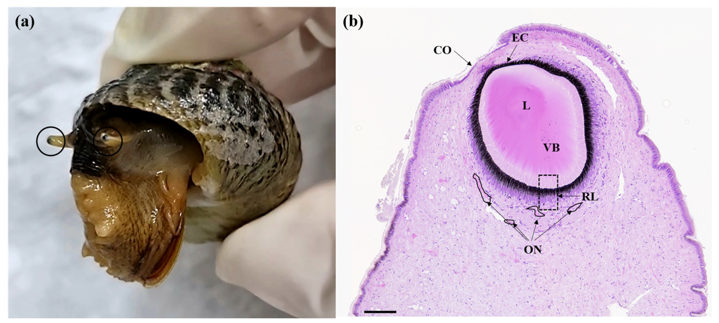 Fishes 09 00226 g001