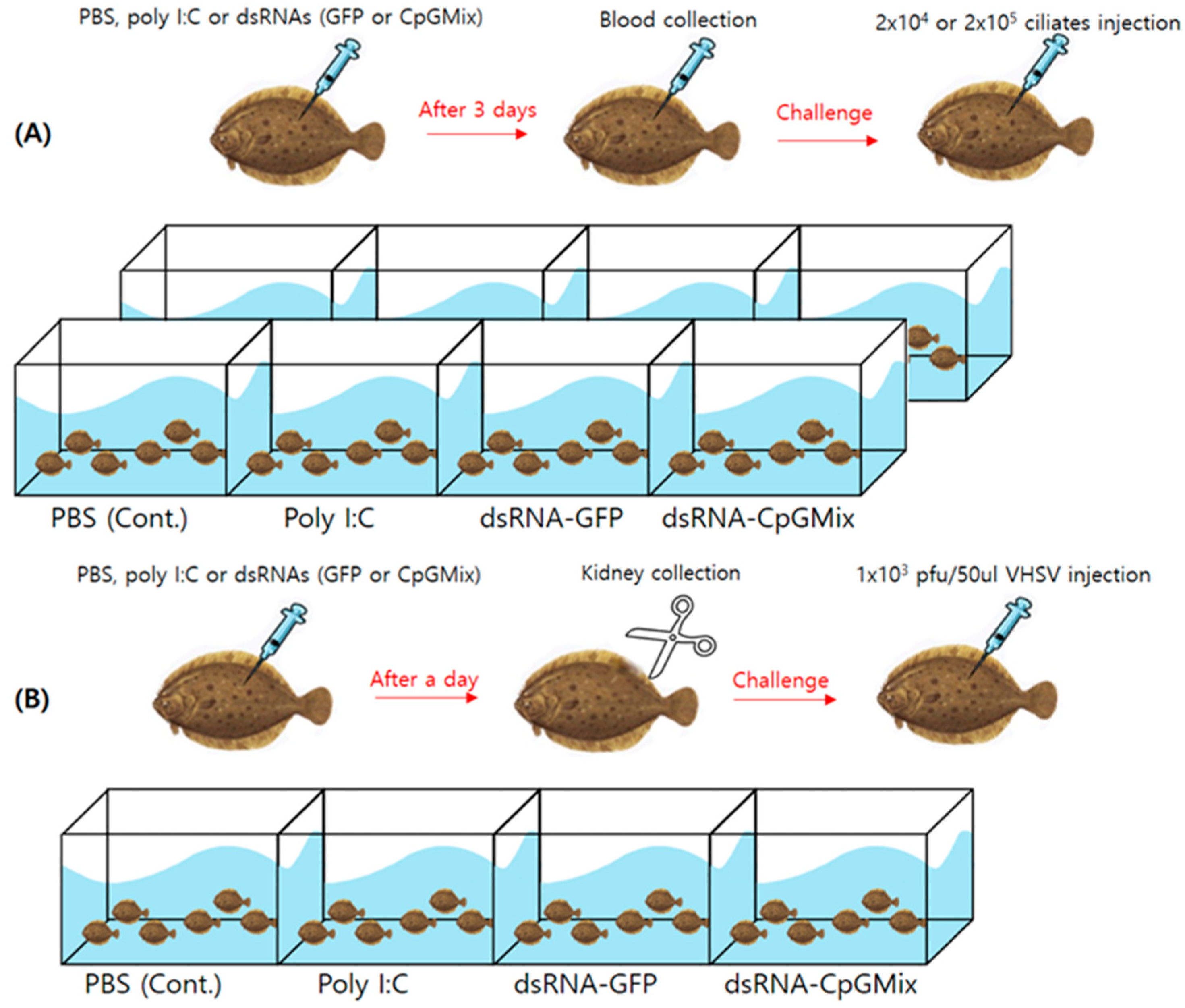 Fishes 09 00227 g003 Fishes 09 00227 g003