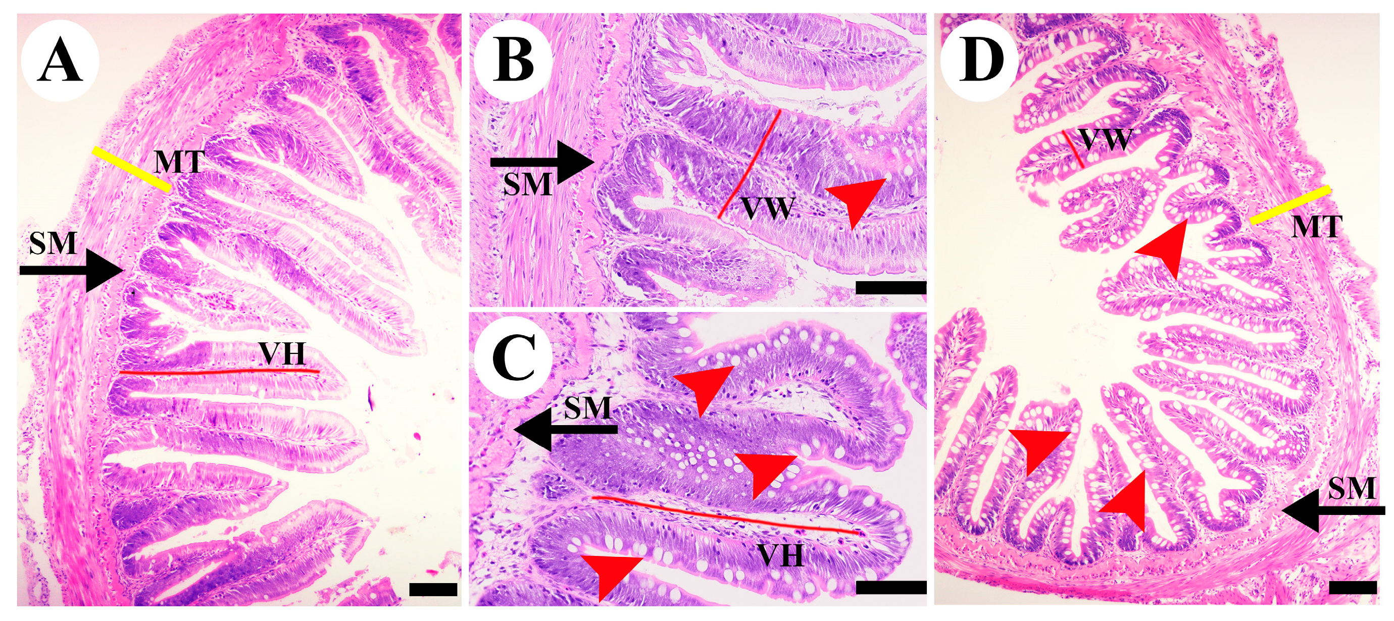 Fishes 09 00229 g001