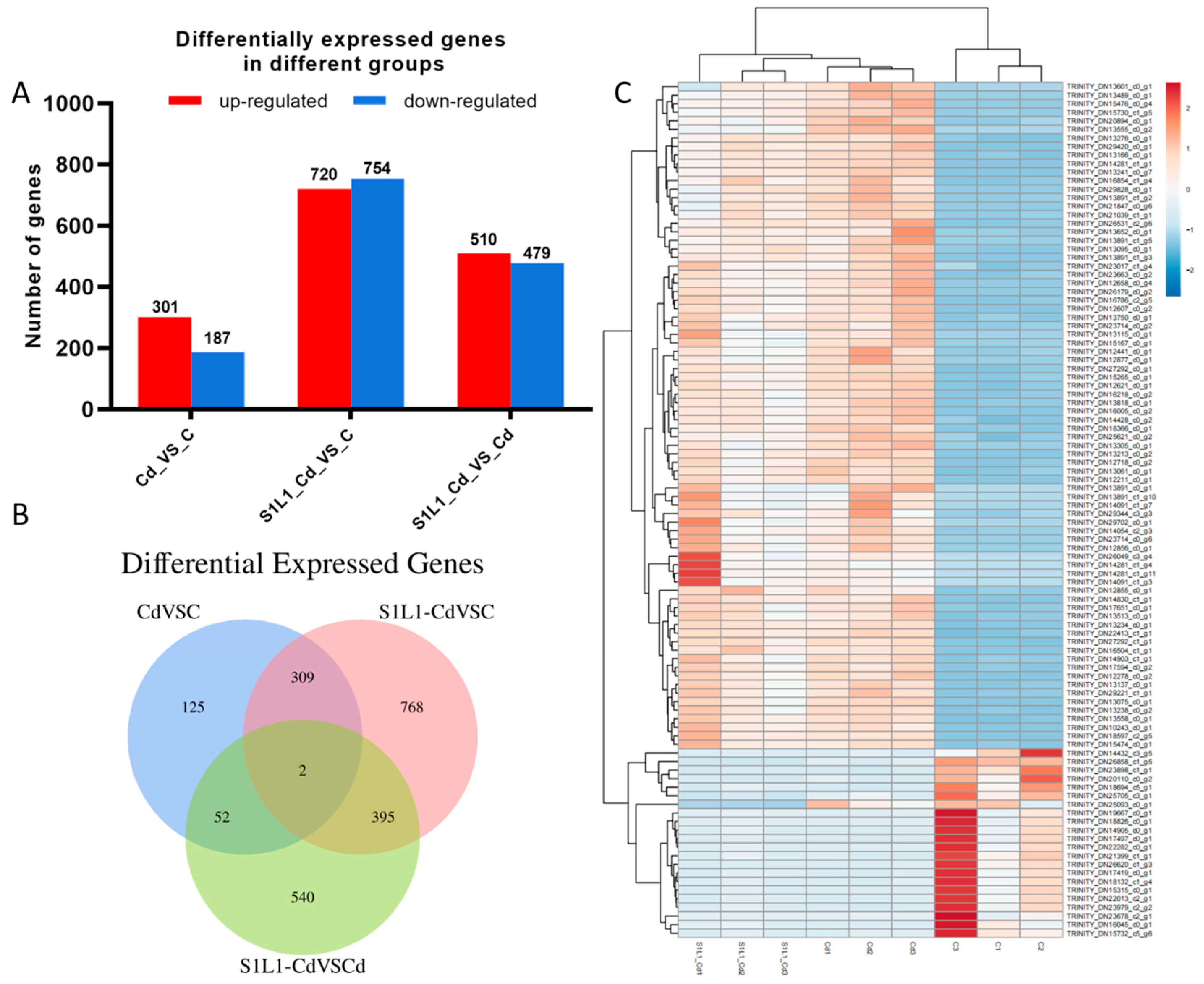 Fishes 09 00230 g005