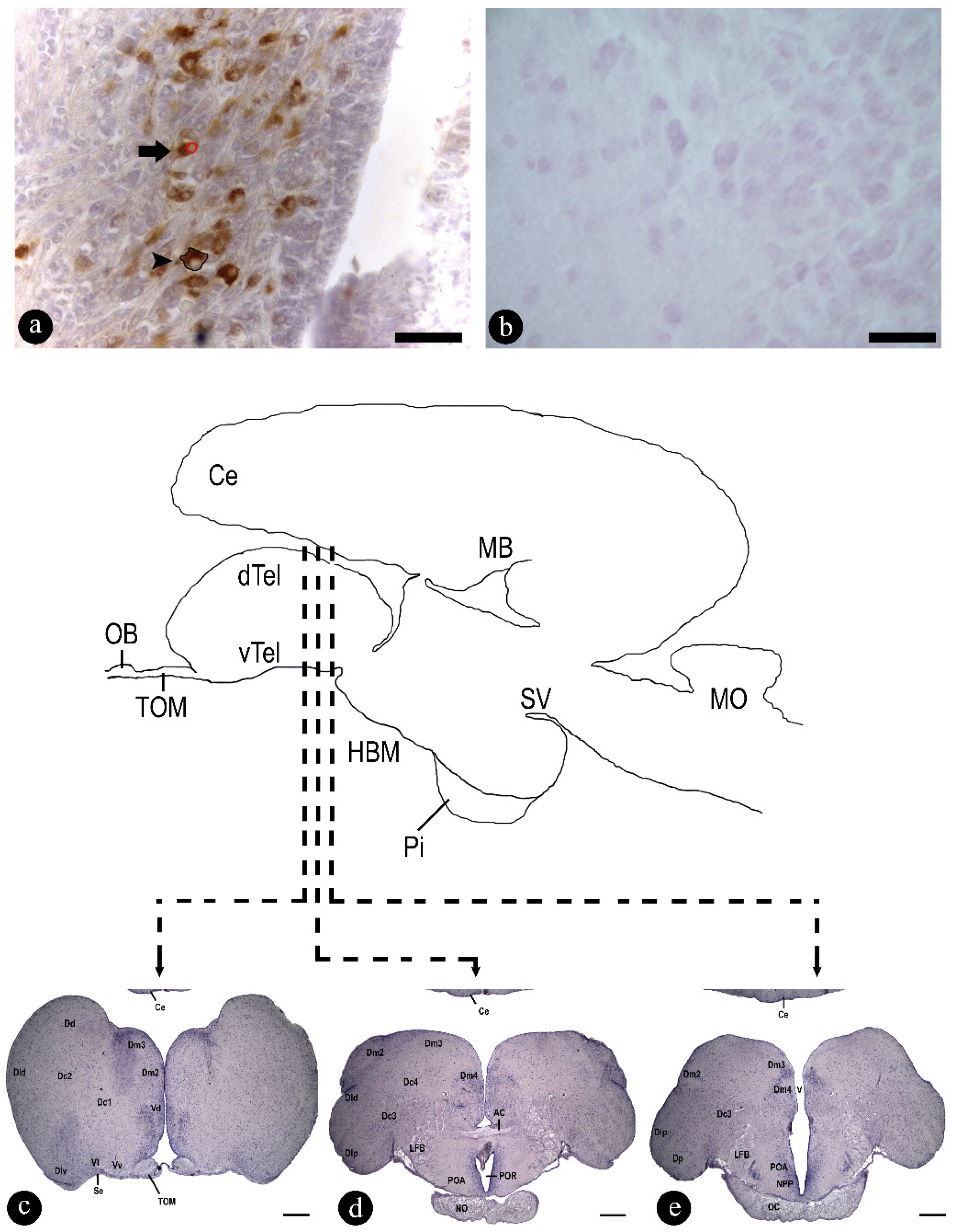 Fishes 09 00235 g002
