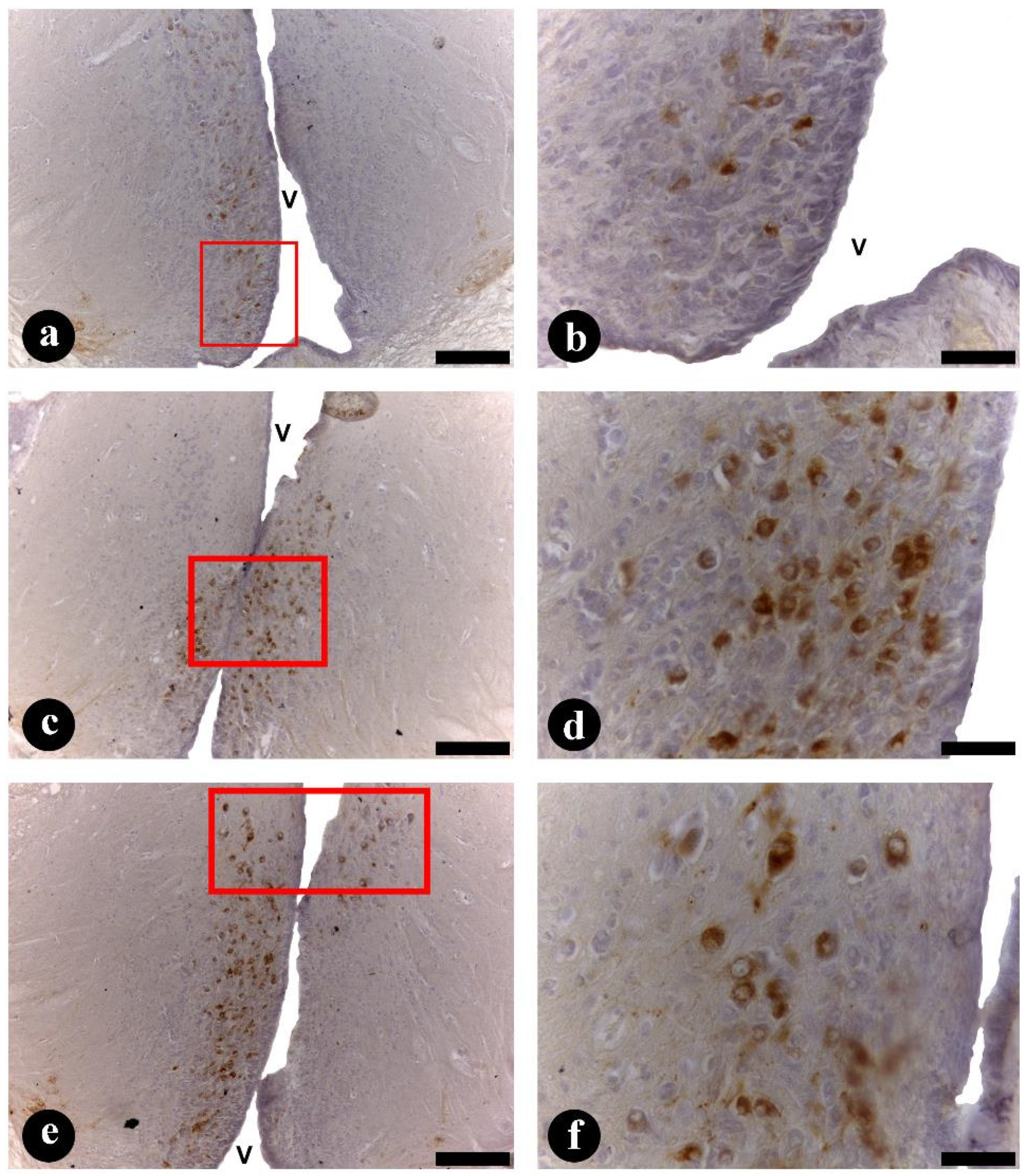 Fishes 09 00235 g005